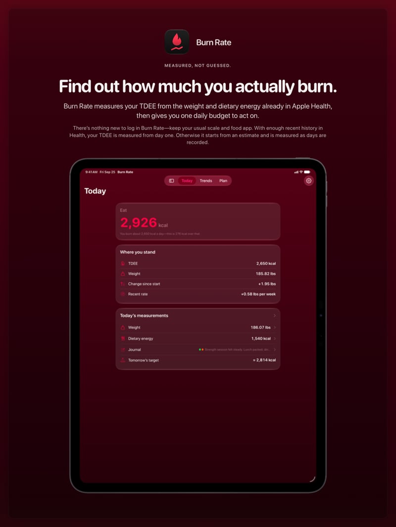 The Burn Rate share image, showing the app on iPad Pro 13-inch with its icon, name and headline for the gain story, in the Pink tint, dark appearance.