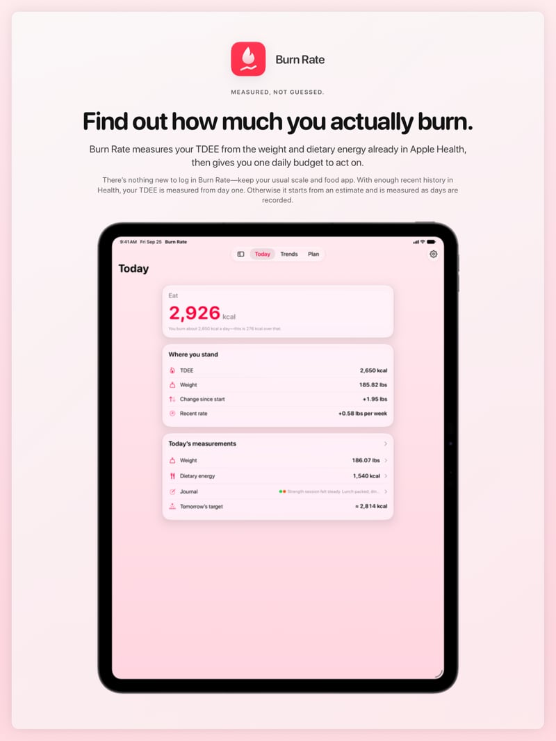 The Burn Rate share image, showing the app on iPad Pro 13-inch with its icon, name and headline for the gain story, in the Pink tint, light appearance.