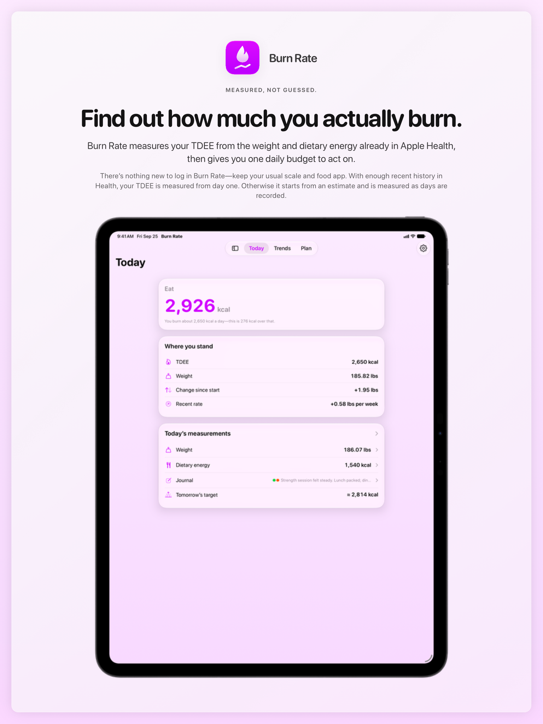 The Burn Rate share image, showing the app on iPad Pro 13-inch with its icon, name and headline for the gain story, in the Purple tint, light appearance.