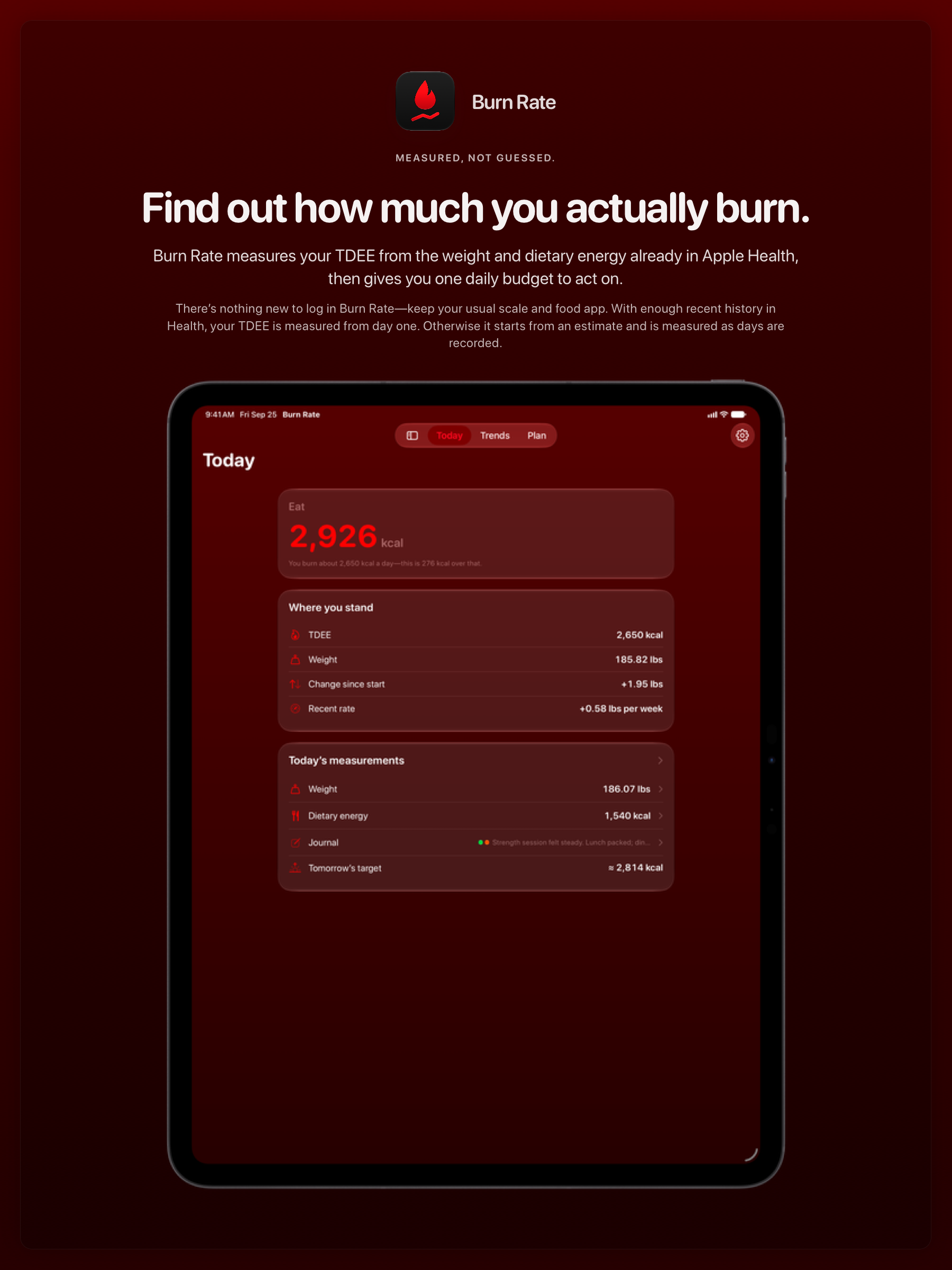 The Burn Rate share image, showing the app on iPad Pro 13-inch with its icon, name and headline for the gain story, in the Red tint, dark appearance.