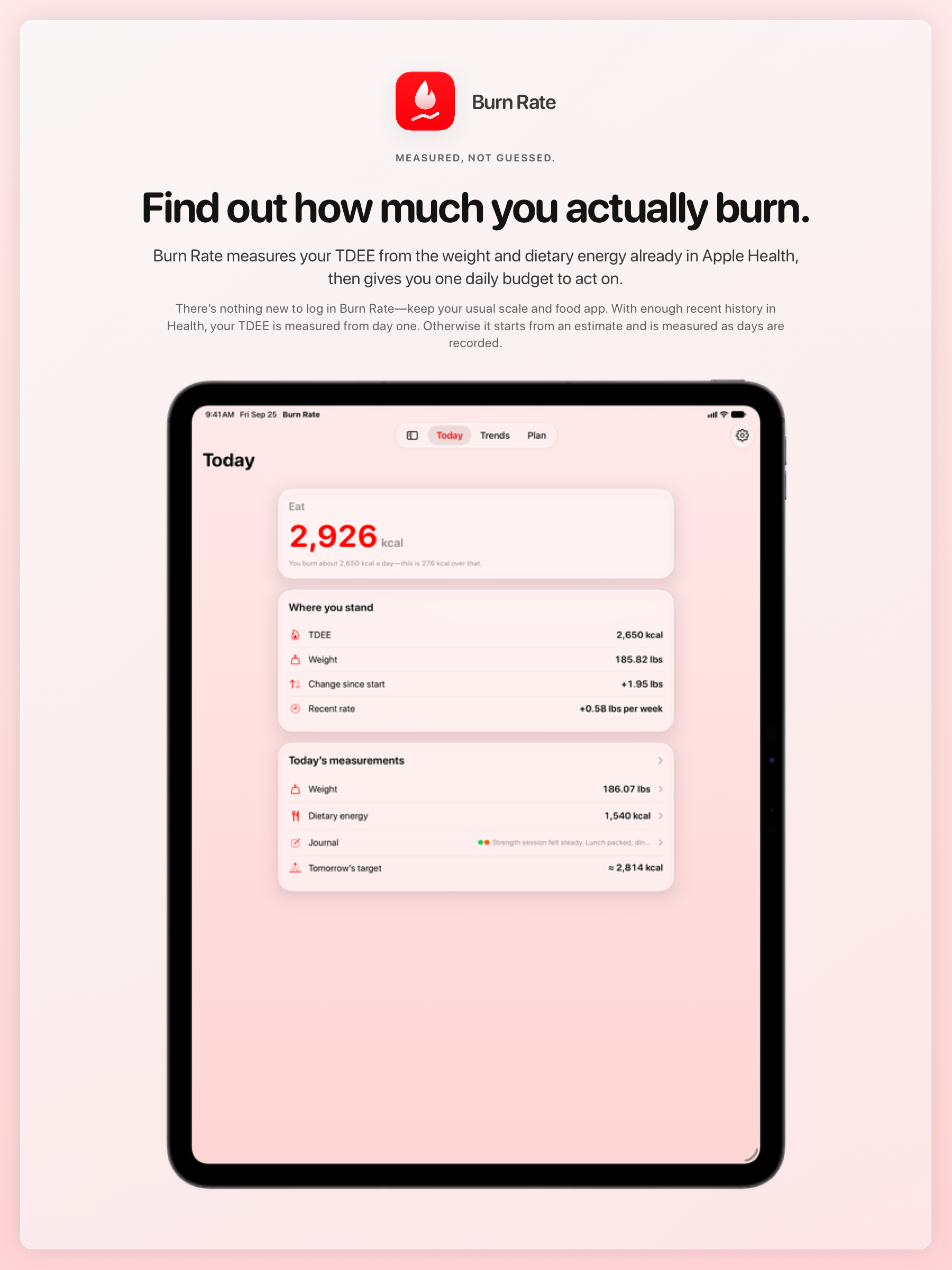 The Burn Rate share image, showing the app on iPad Pro 13-inch with its icon, name and headline for the gain story, in the Red tint, light appearance.