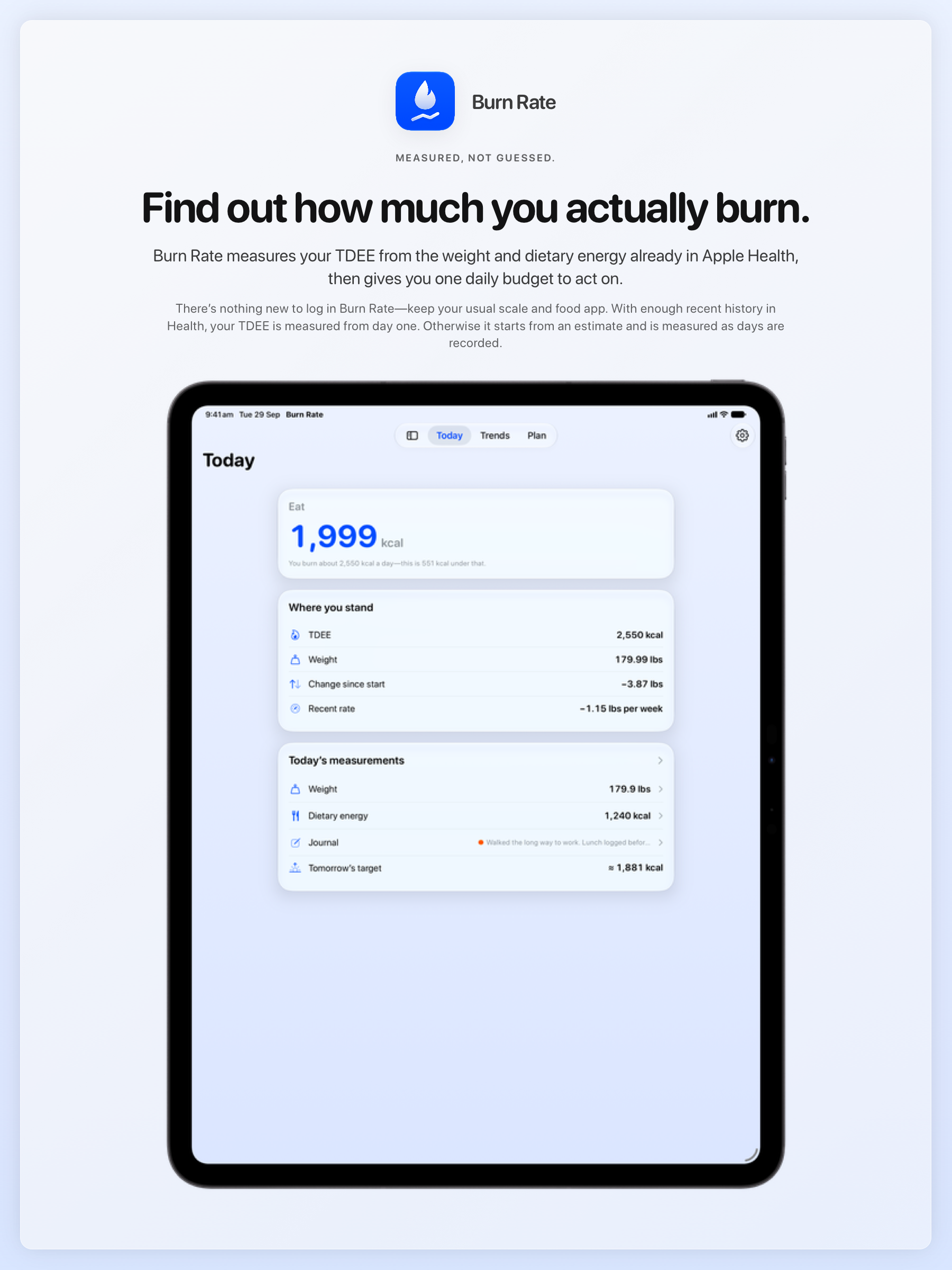 The Burn Rate share image, showing the app on iPad Pro 13-inch with its icon, name and headline for the loss story, in the Blue tint, light appearance.