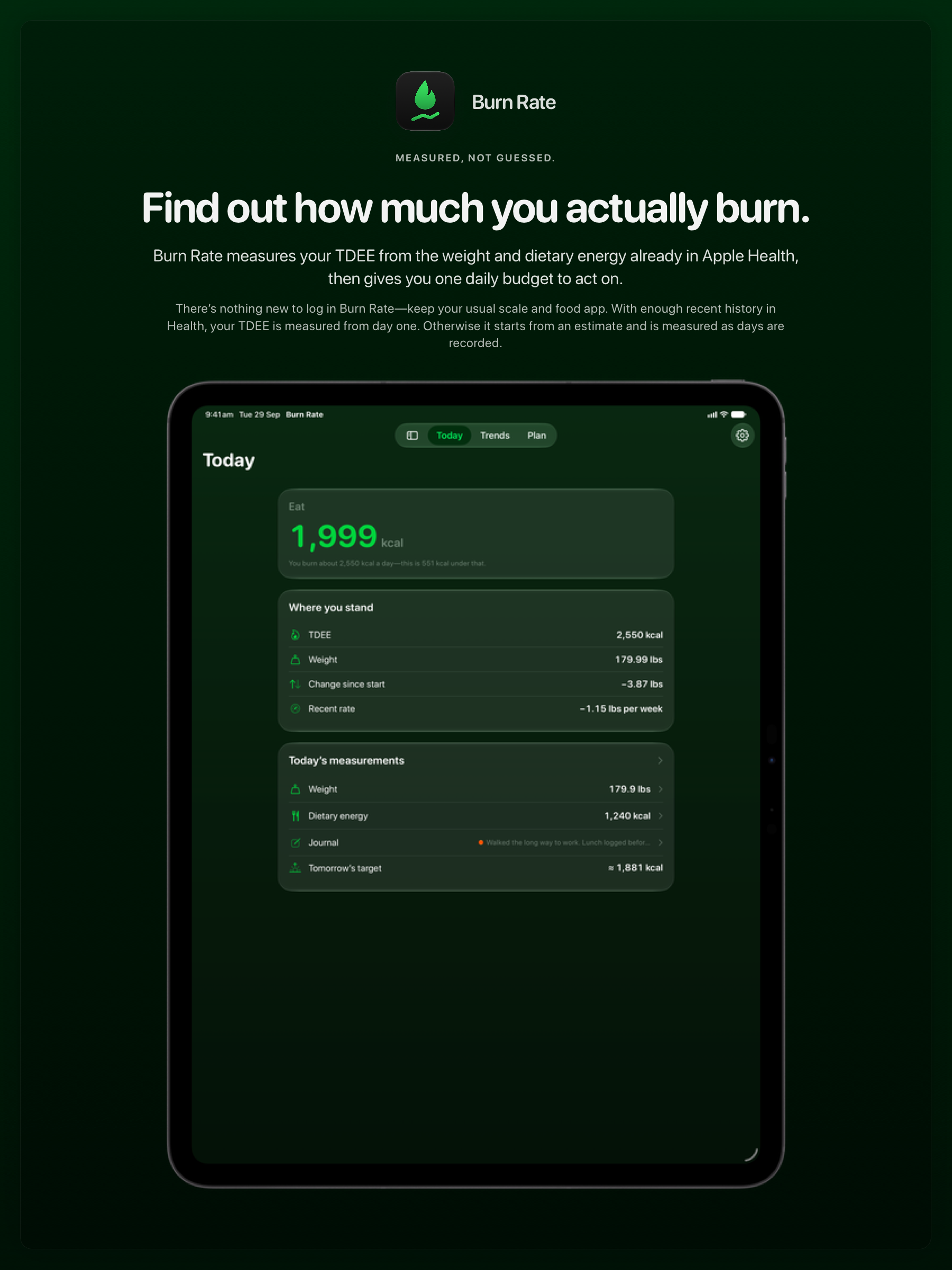 The Burn Rate share image, showing the app on iPad Pro 13-inch with its icon, name and headline for the loss story, in the Green tint, dark appearance.