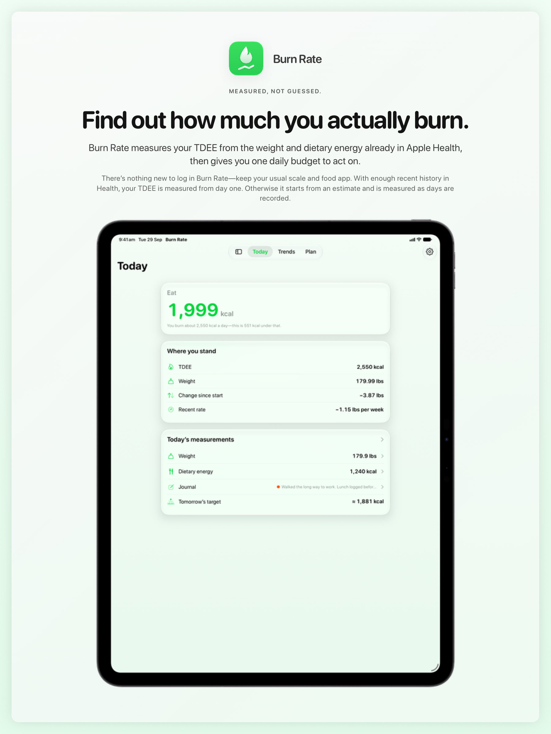 The Burn Rate share image, showing the app on iPad Pro 13-inch with its icon, name and headline for the loss story, in the Green tint, light appearance.