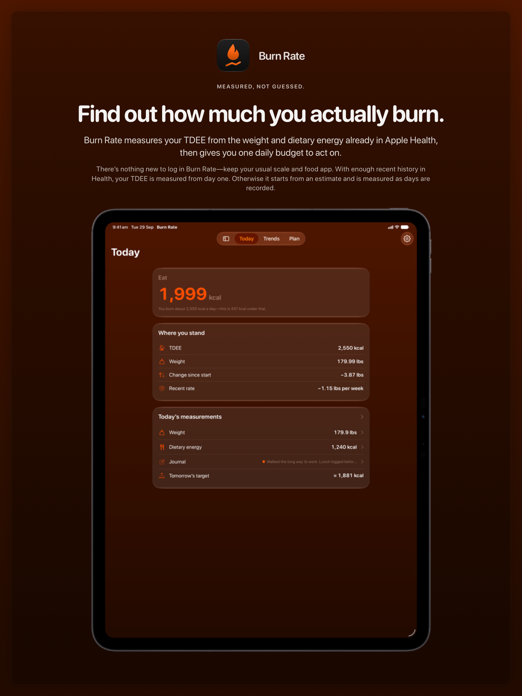 The Burn Rate share image, showing the app on iPad Pro 13-inch with its icon, name and headline for the loss story, in the Orange tint, dark appearance.