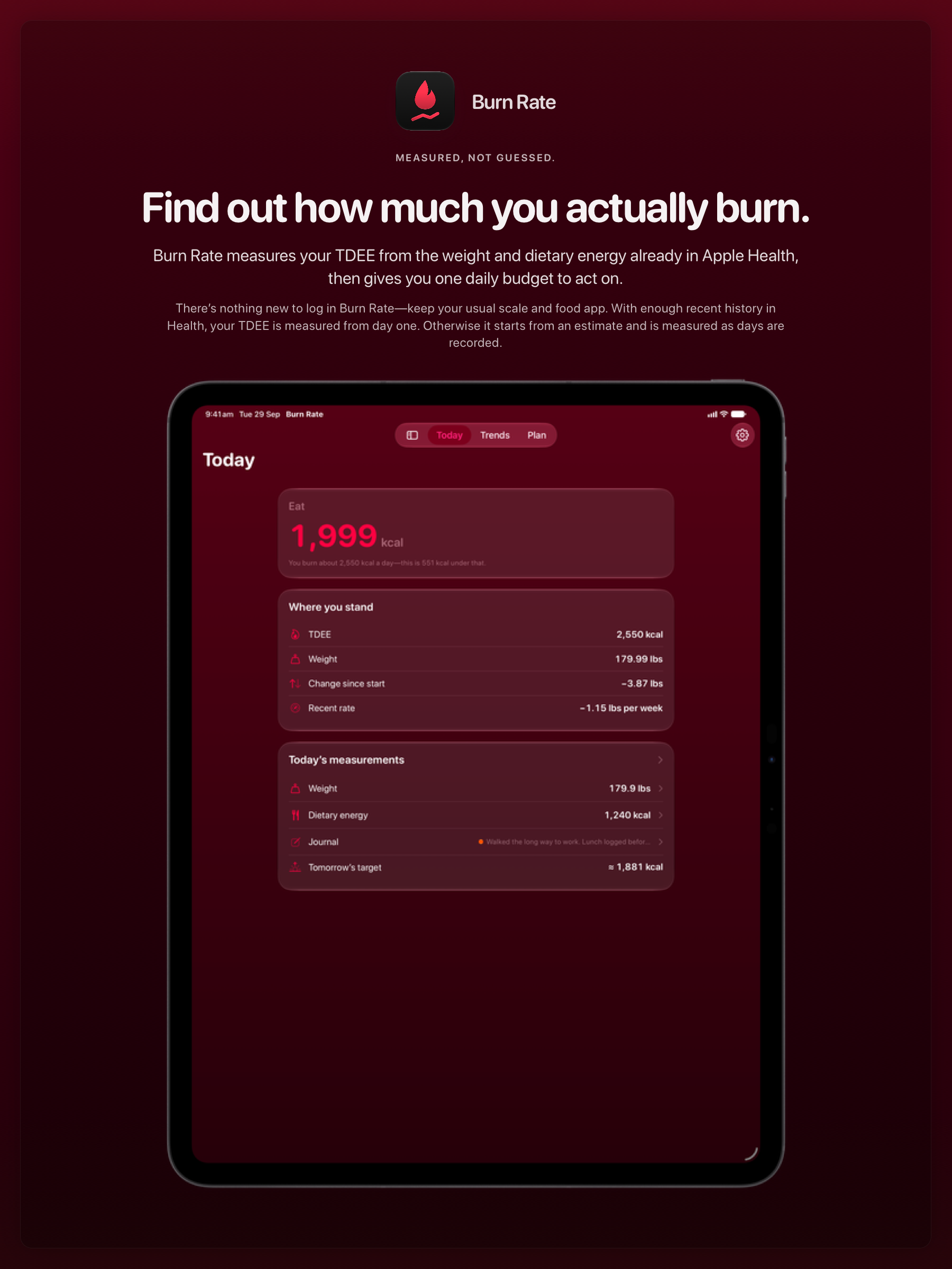 The Burn Rate share image, showing the app on iPad Pro 13-inch with its icon, name and headline for the loss story, in the Pink tint, dark appearance.