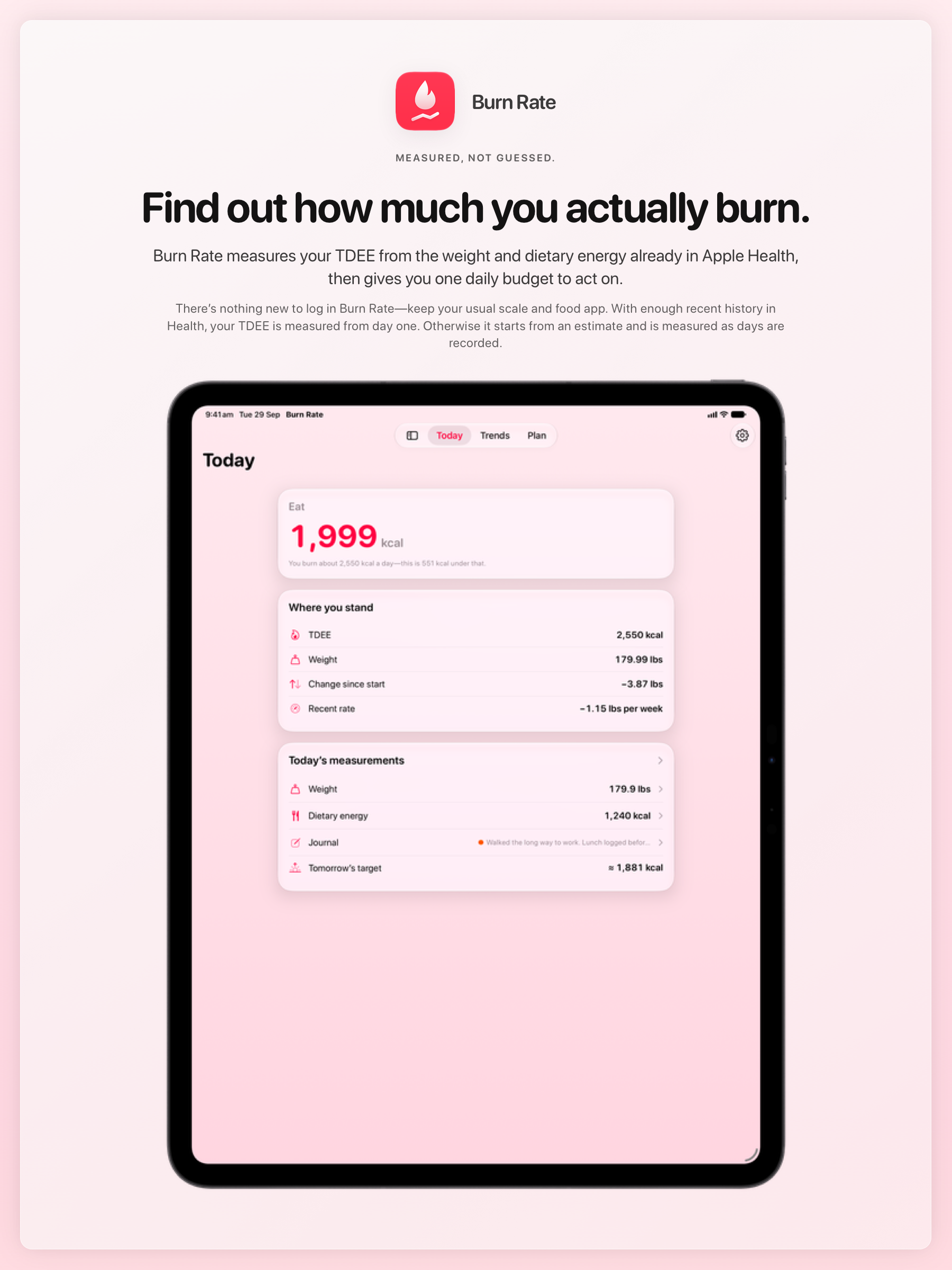 The Burn Rate share image, showing the app on iPad Pro 13-inch with its icon, name and headline for the loss story, in the Pink tint, light appearance.