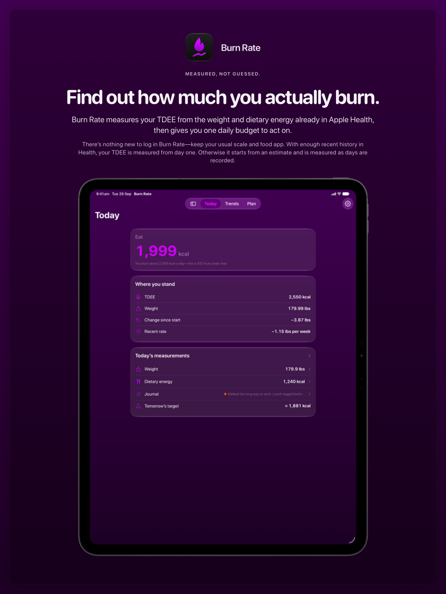 The Burn Rate share image, showing the app on iPad Pro 13-inch with its icon, name and headline for the loss story, in the Purple tint, dark appearance.