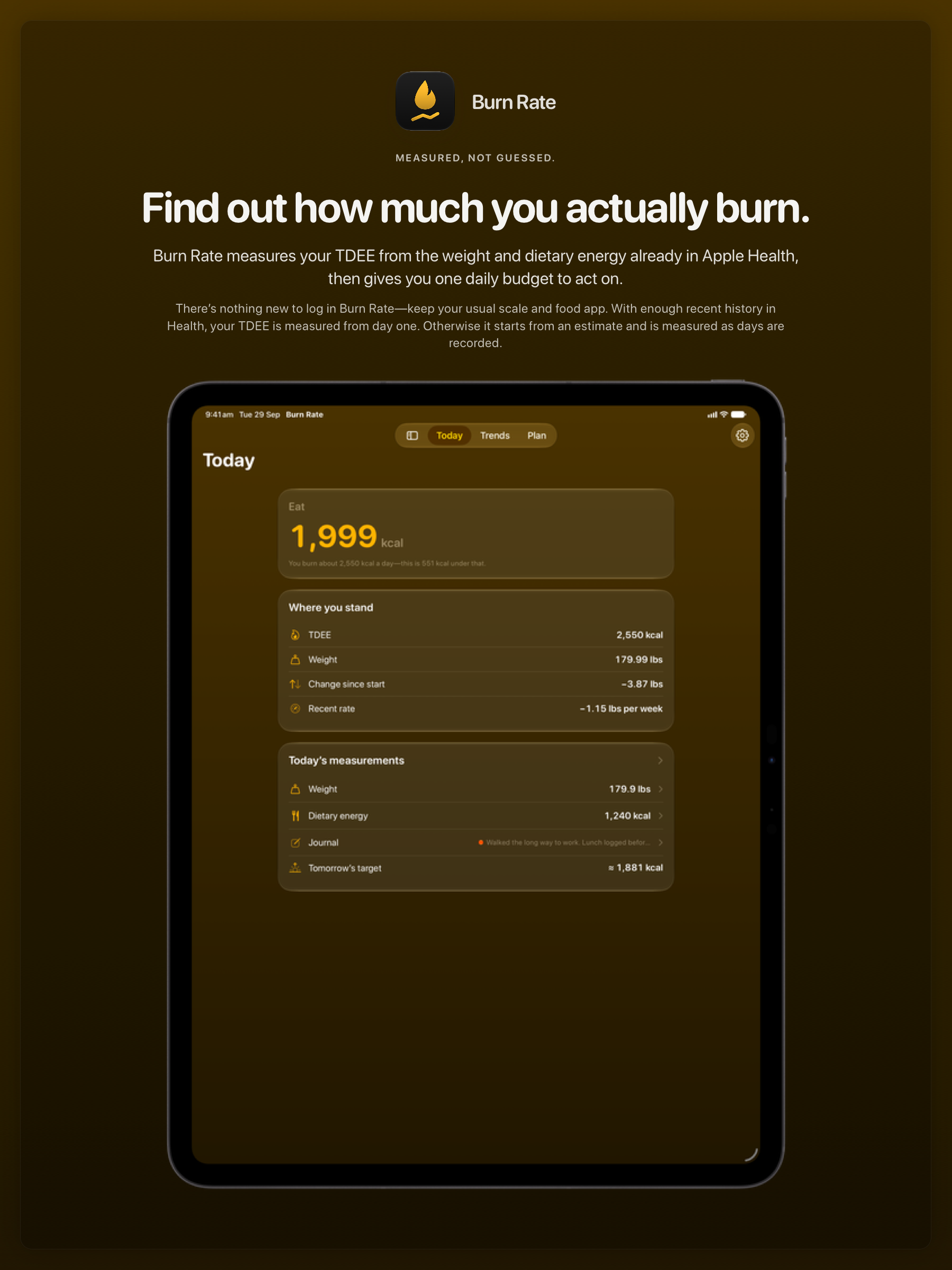 The Burn Rate share image, showing the app on iPad Pro 13-inch with its icon, name and headline for the loss story, in the Yellow tint, dark appearance.