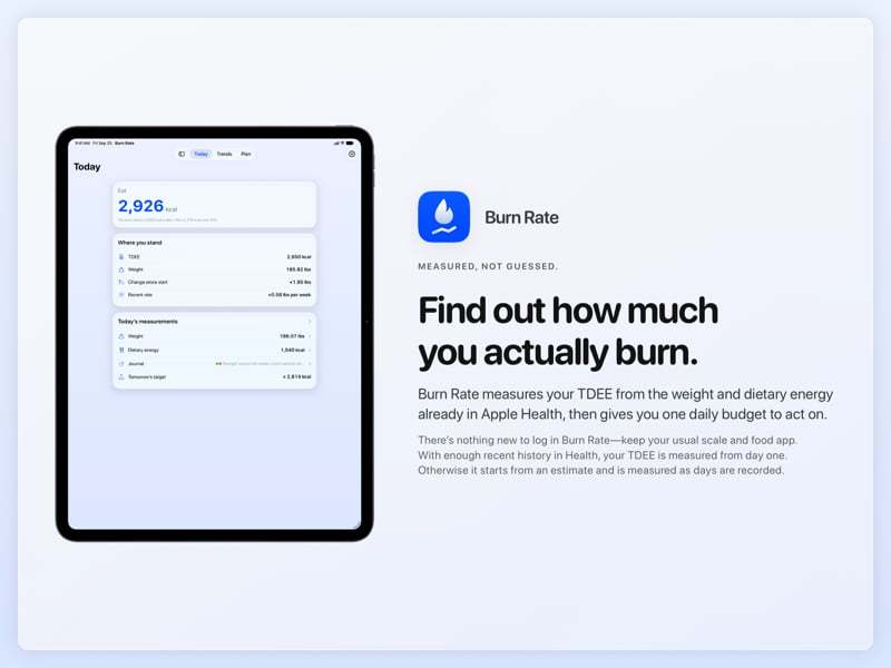 The Burn Rate share image, showing the app on iPad Pro 13-inch with its icon, name and headline for the gain story, in the Blue tint, light appearance.
