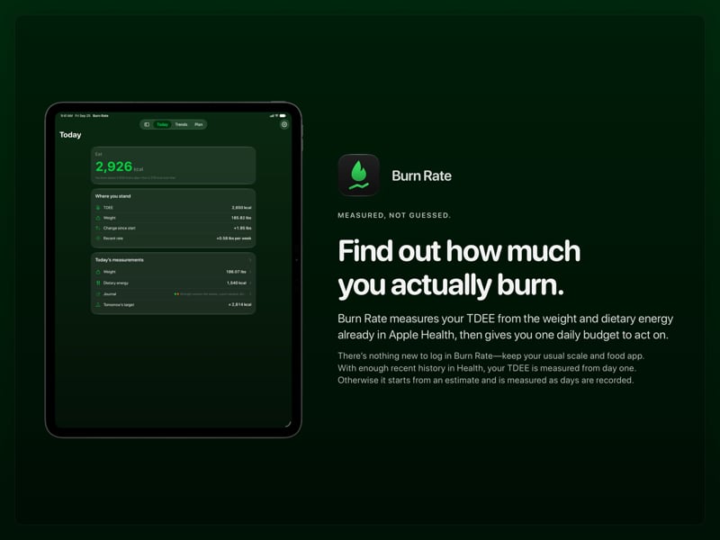 The Burn Rate share image, showing the app on iPad Pro 13-inch with its icon, name and headline for the gain story, in the Green tint, dark appearance.