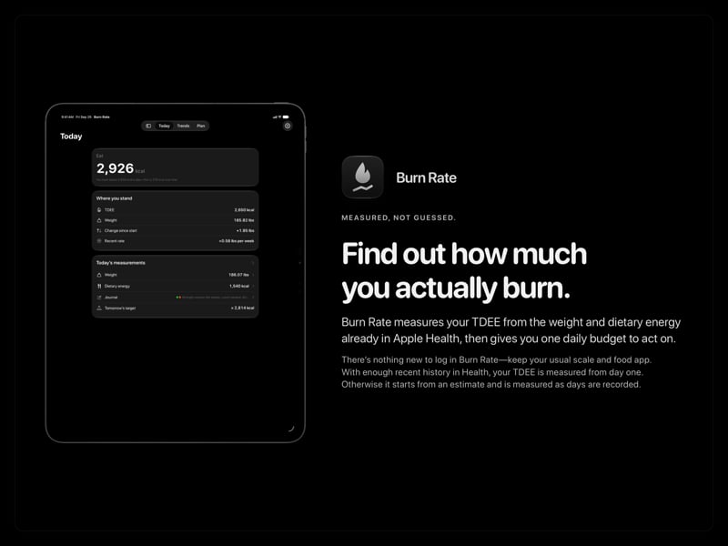 The Burn Rate share image, showing the app on iPad Pro 13-inch with its icon, name and headline for the gain story, in the Grey tint, dark appearance.