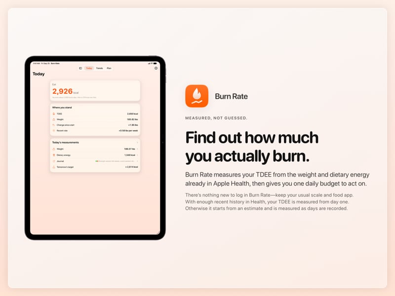 The Burn Rate share image, showing the app on iPad Pro 13-inch with its icon, name and headline for the gain story, in the Orange tint, light appearance.