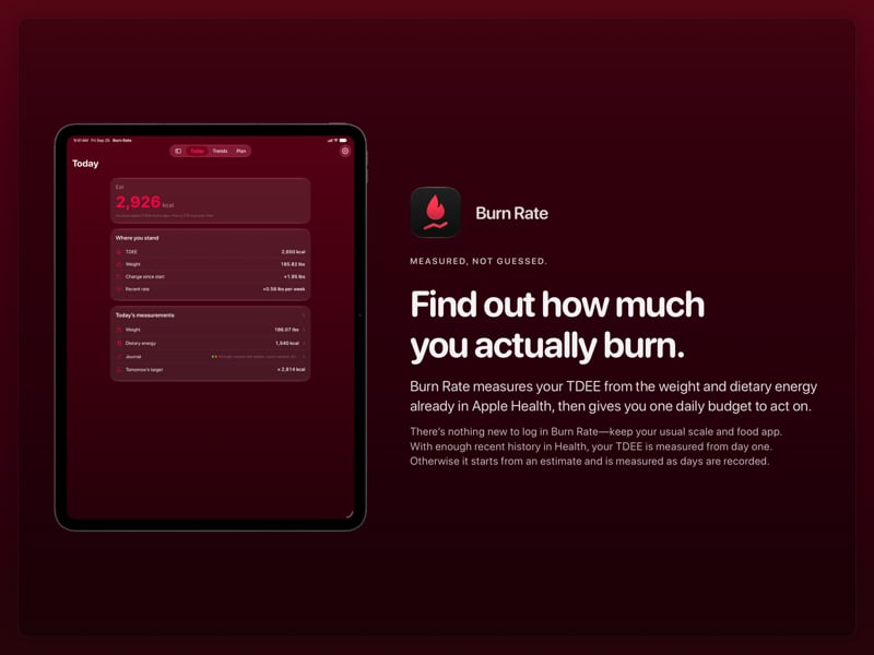 The Burn Rate share image, showing the app on iPad Pro 13-inch with its icon, name and headline for the gain story, in the Pink tint, dark appearance.