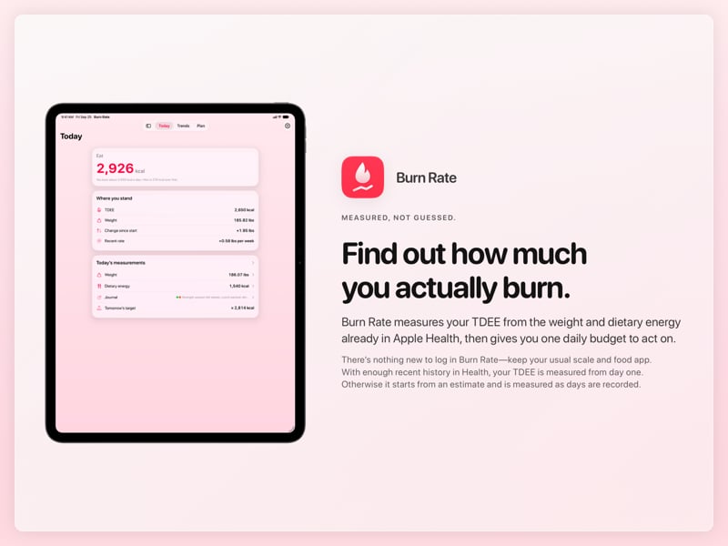 The Burn Rate share image, showing the app on iPad Pro 13-inch with its icon, name and headline for the gain story, in the Pink tint, light appearance.