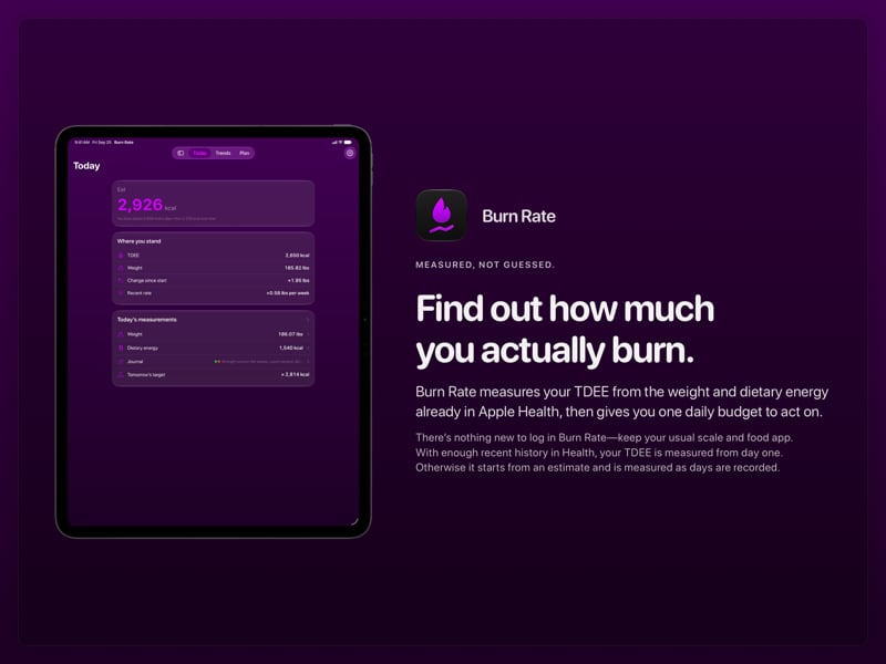 The Burn Rate share image, showing the app on iPad Pro 13-inch with its icon, name and headline for the gain story, in the Purple tint, dark appearance.