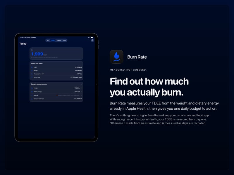 The Burn Rate share image, showing the app on iPad Pro 13-inch with its icon, name and headline for the loss story, in the Blue tint, dark appearance.