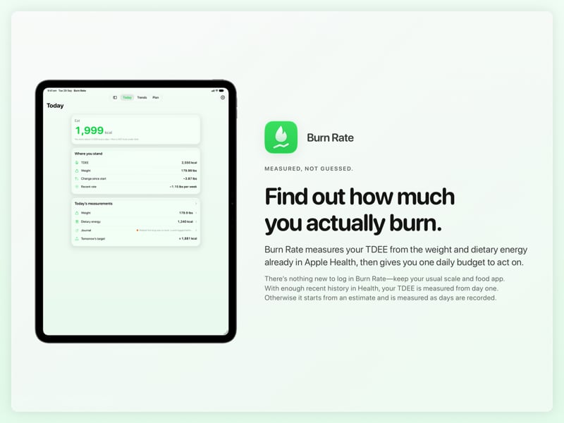 The Burn Rate share image, showing the app on iPad Pro 13-inch with its icon, name and headline for the loss story, in the Green tint, light appearance.