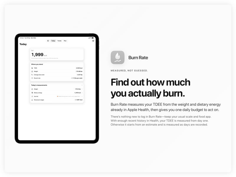 The Burn Rate share image, showing the app on iPad Pro 13-inch with its icon, name and headline for the loss story, in the Grey tint, light appearance.