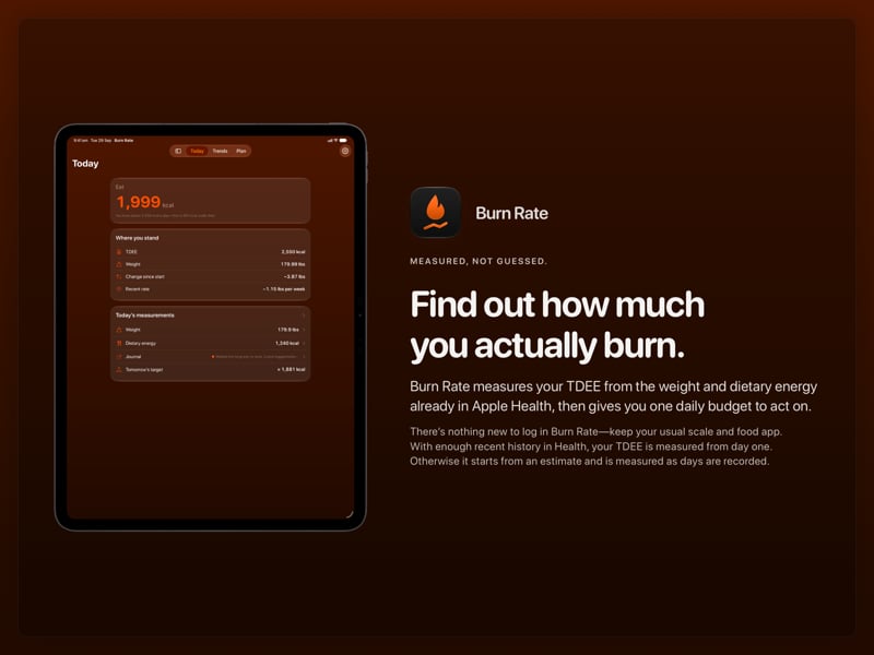 The Burn Rate share image, showing the app on iPad Pro 13-inch with its icon, name and headline for the loss story, in the Orange tint, dark appearance.