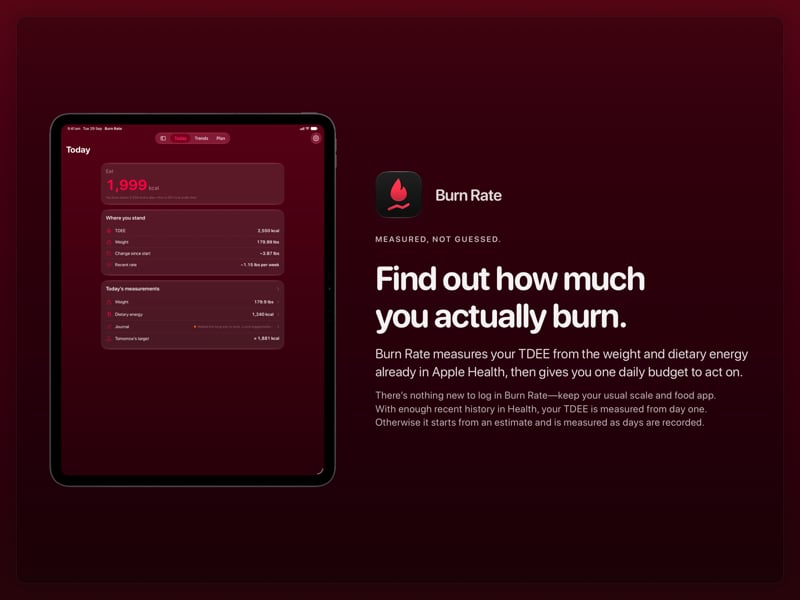 The Burn Rate share image, showing the app on iPad Pro 13-inch with its icon, name and headline for the loss story, in the Pink tint, dark appearance.