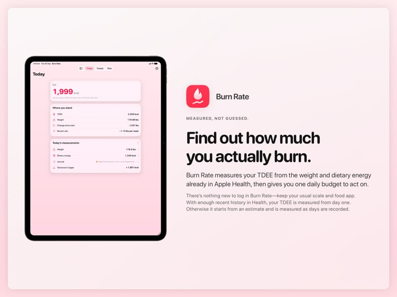 The Burn Rate share image, showing the app on iPad Pro 13-inch with its icon, name and headline for the loss story, in the Pink tint, light appearance.