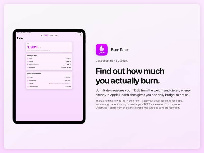 The Burn Rate share image, showing the app on iPad Pro 13-inch with its icon, name and headline for the loss story, in the Purple tint, light appearance.