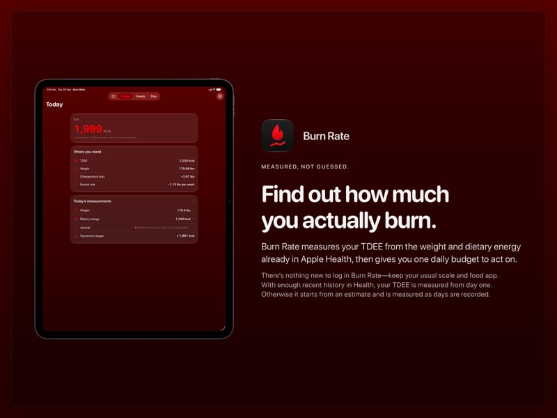 The Burn Rate share image, showing the app on iPad Pro 13-inch with its icon, name and headline for the loss story, in the Red tint, dark appearance.