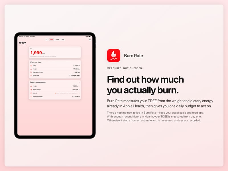 The Burn Rate share image, showing the app on iPad Pro 13-inch with its icon, name and headline for the loss story, in the Red tint, light appearance.