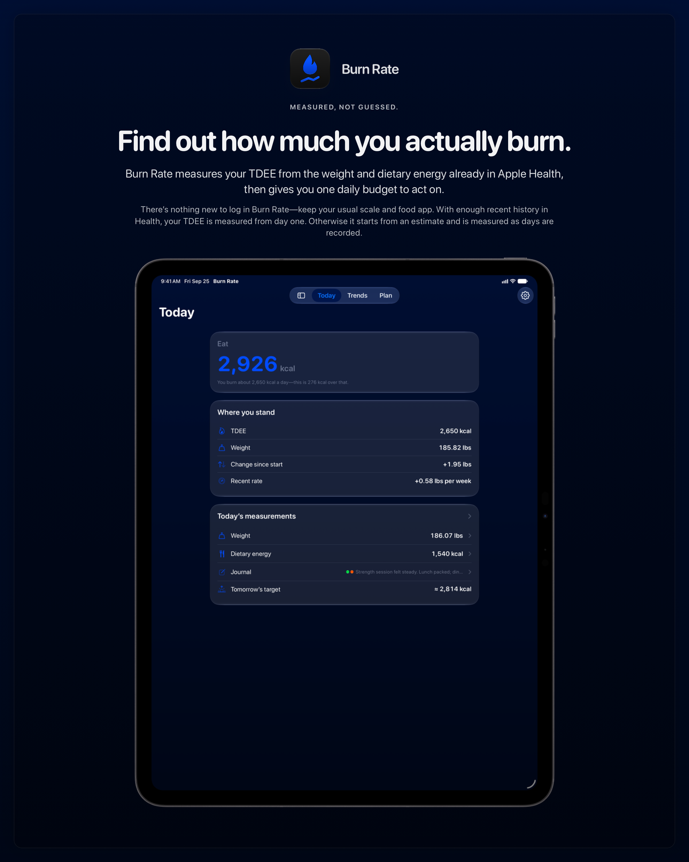 The Burn Rate share image, showing the app on iPad Pro 13-inch with its icon, name and headline for the gain story, in the Blue tint, dark appearance.