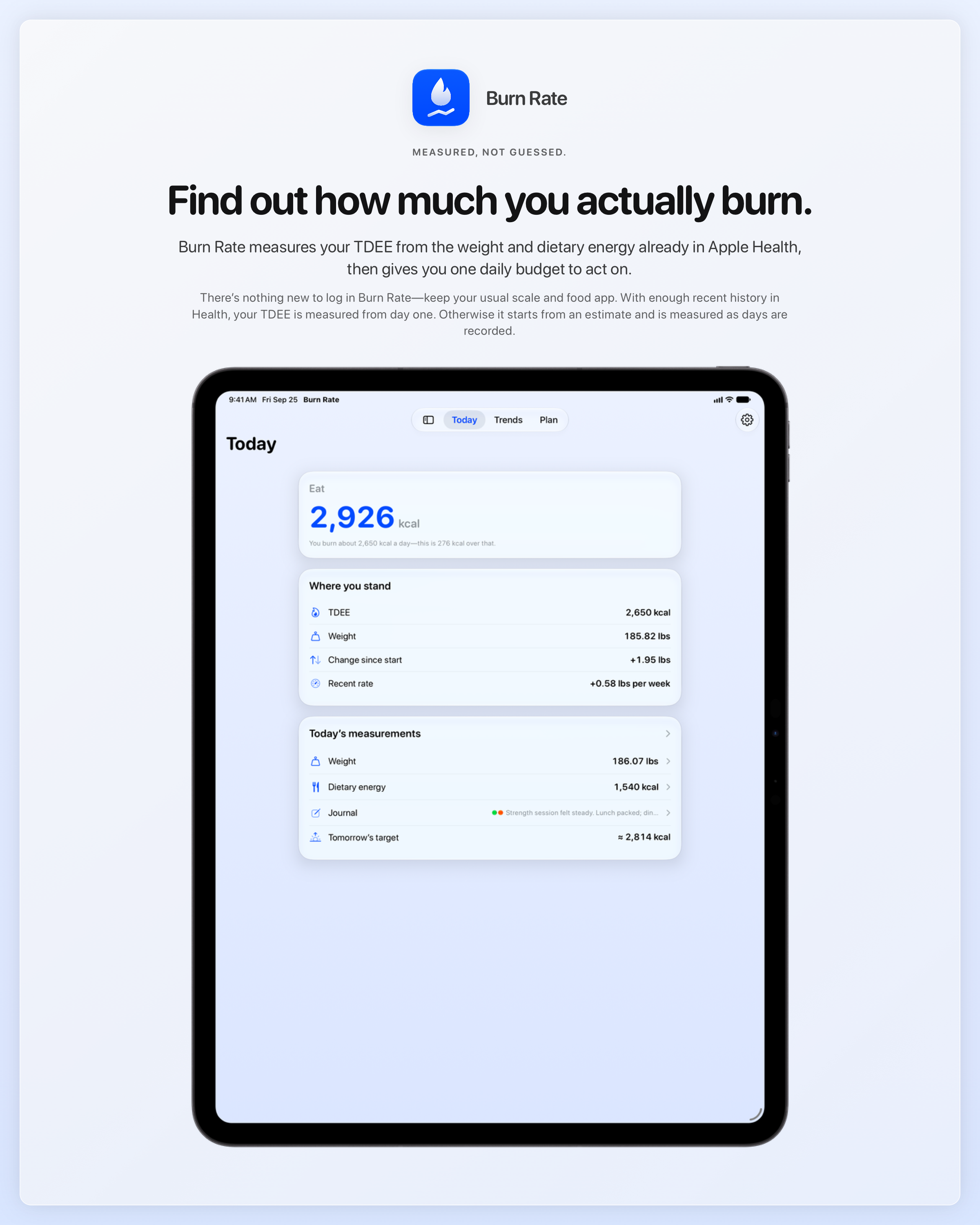 The Burn Rate share image, showing the app on iPad Pro 13-inch with its icon, name and headline for the gain story, in the Blue tint, light appearance.