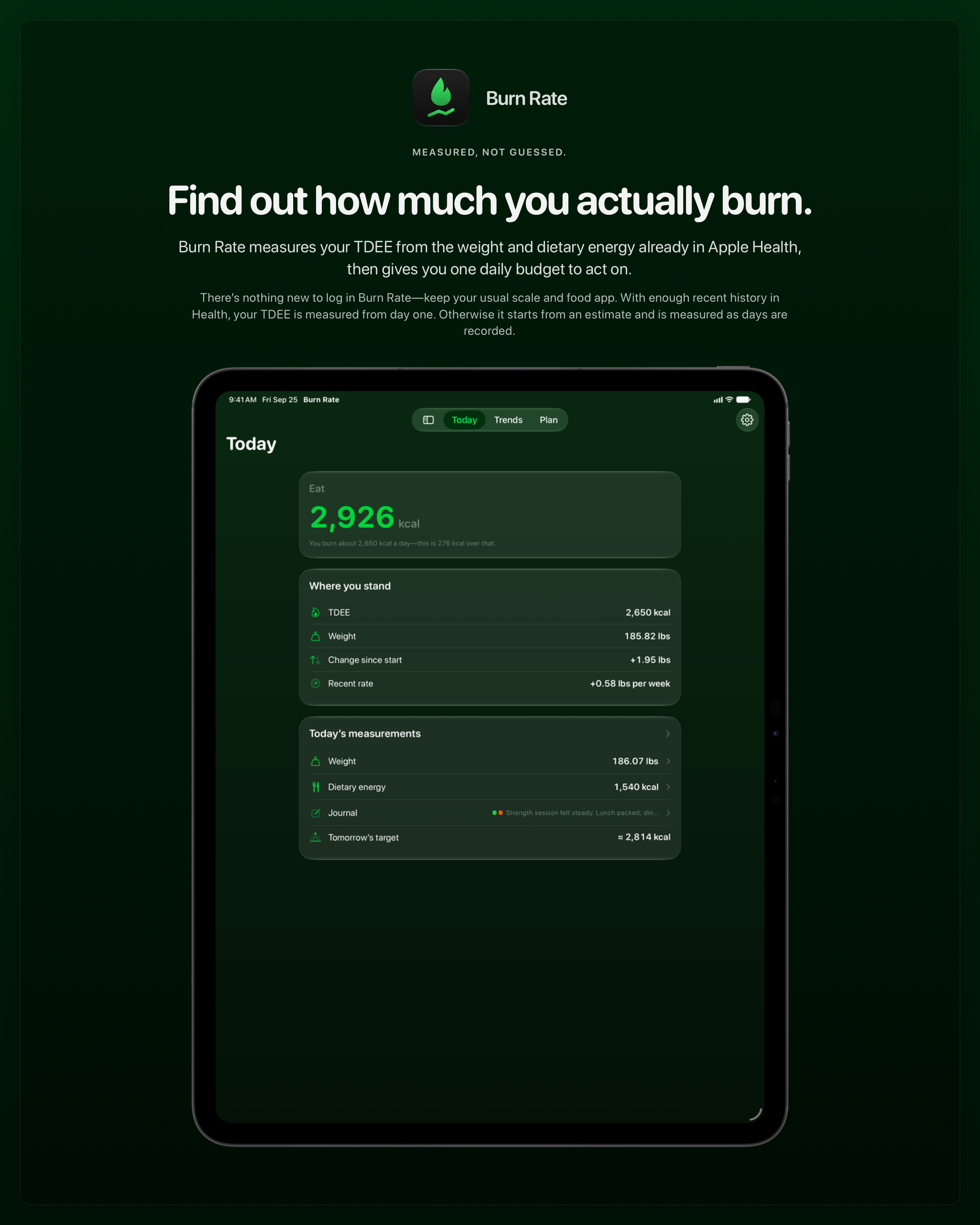 The Burn Rate share image, showing the app on iPad Pro 13-inch with its icon, name and headline for the gain story, in the Green tint, dark appearance.