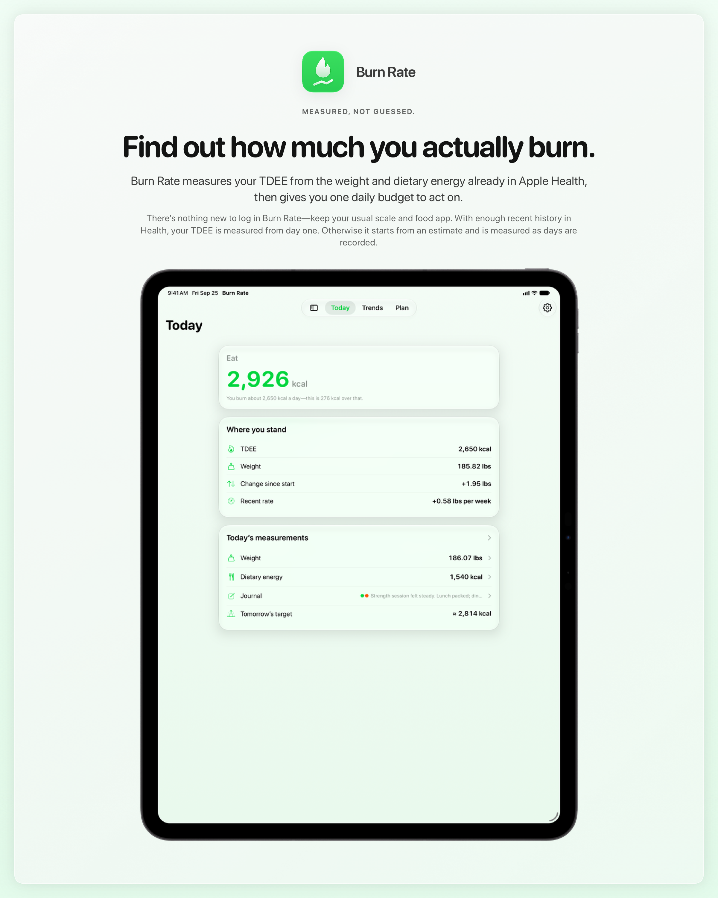 The Burn Rate share image, showing the app on iPad Pro 13-inch with its icon, name and headline for the gain story, in the Green tint, light appearance.