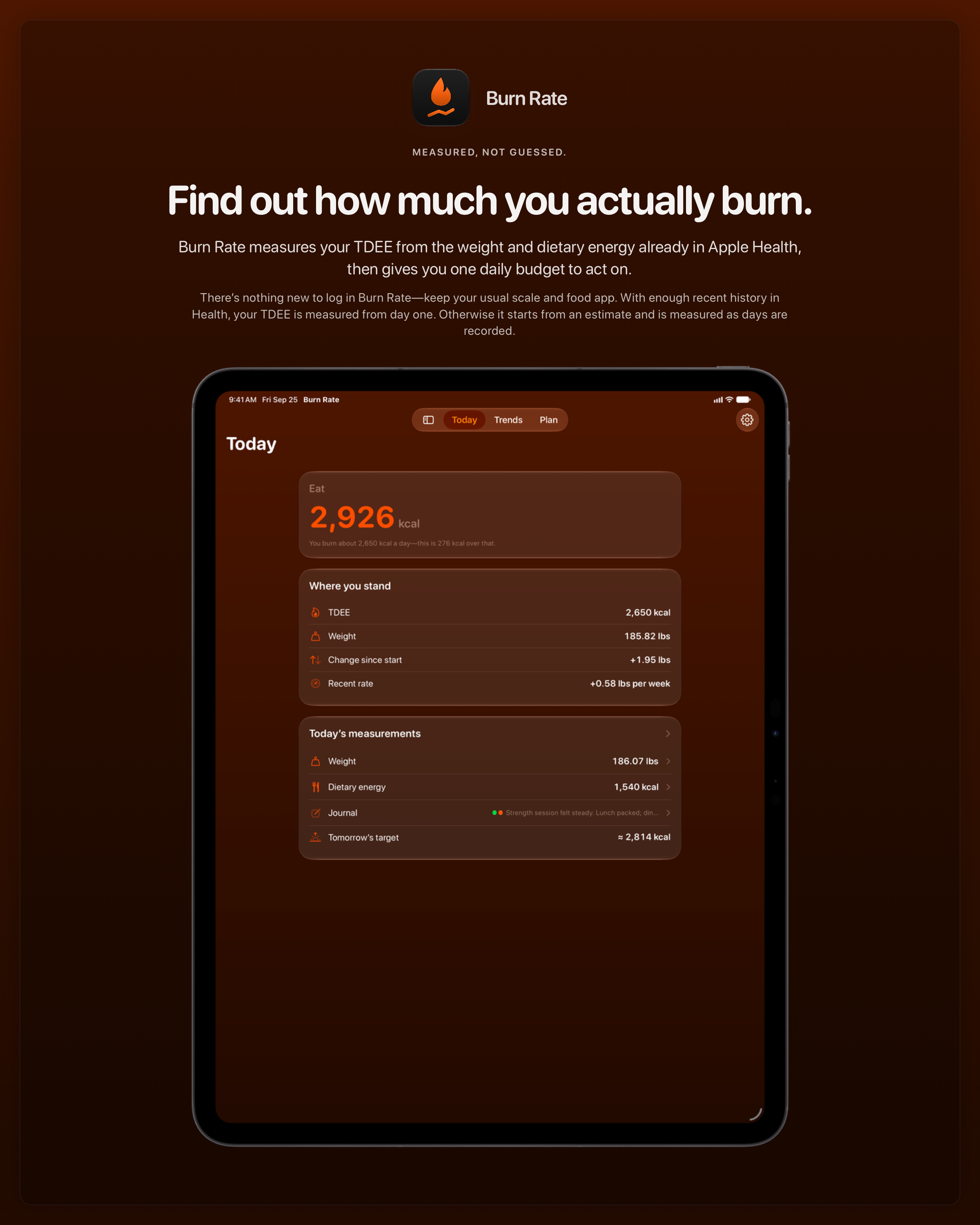 The Burn Rate share image, showing the app on iPad Pro 13-inch with its icon, name and headline for the gain story, in the Orange tint, dark appearance.