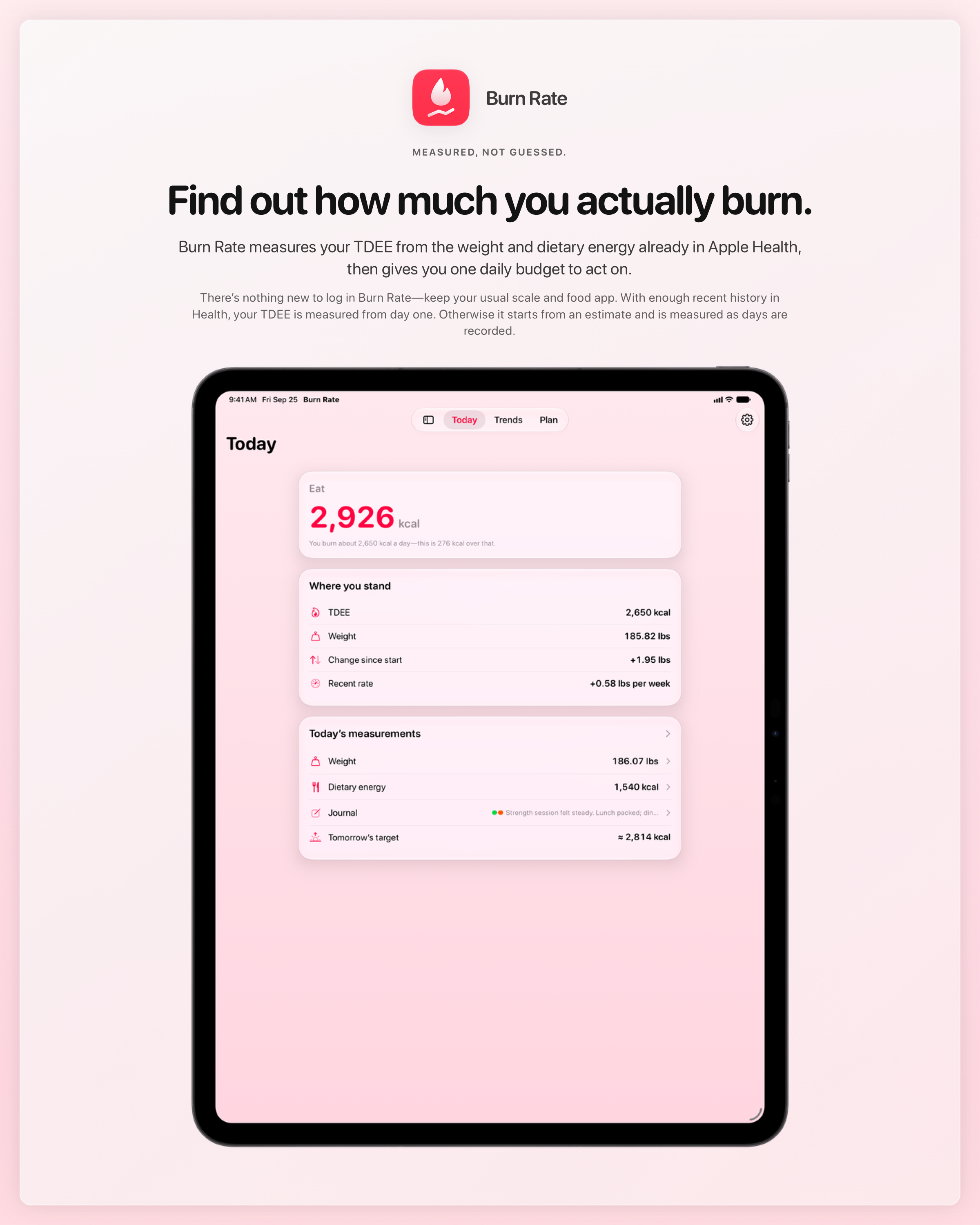 The Burn Rate share image, showing the app on iPad Pro 13-inch with its icon, name and headline for the gain story, in the Pink tint, light appearance.