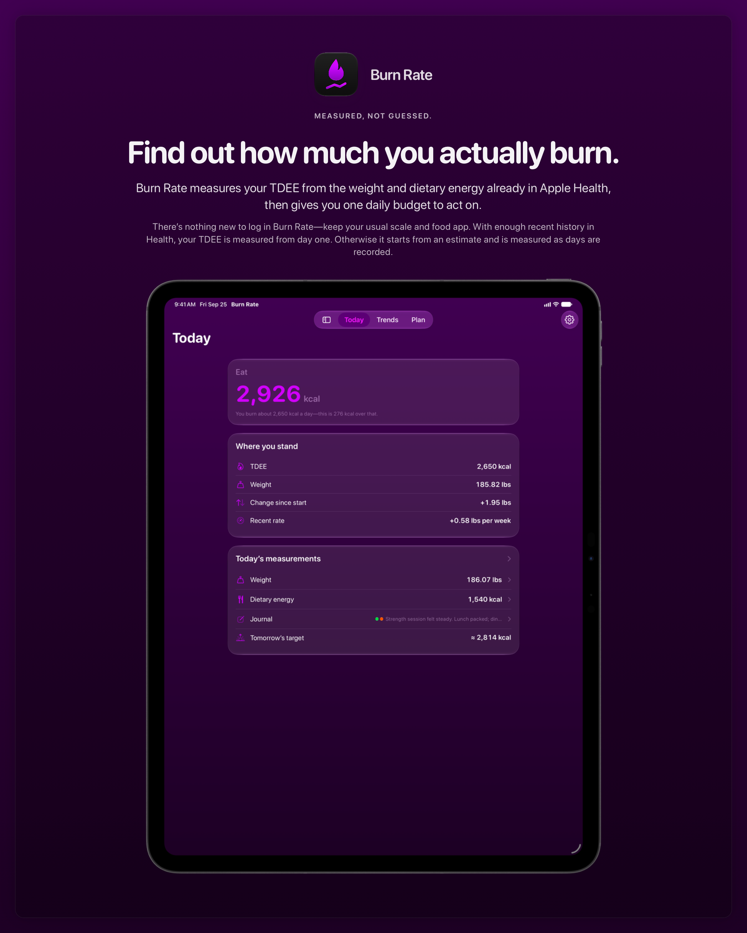 The Burn Rate share image, showing the app on iPad Pro 13-inch with its icon, name and headline for the gain story, in the Purple tint, dark appearance.