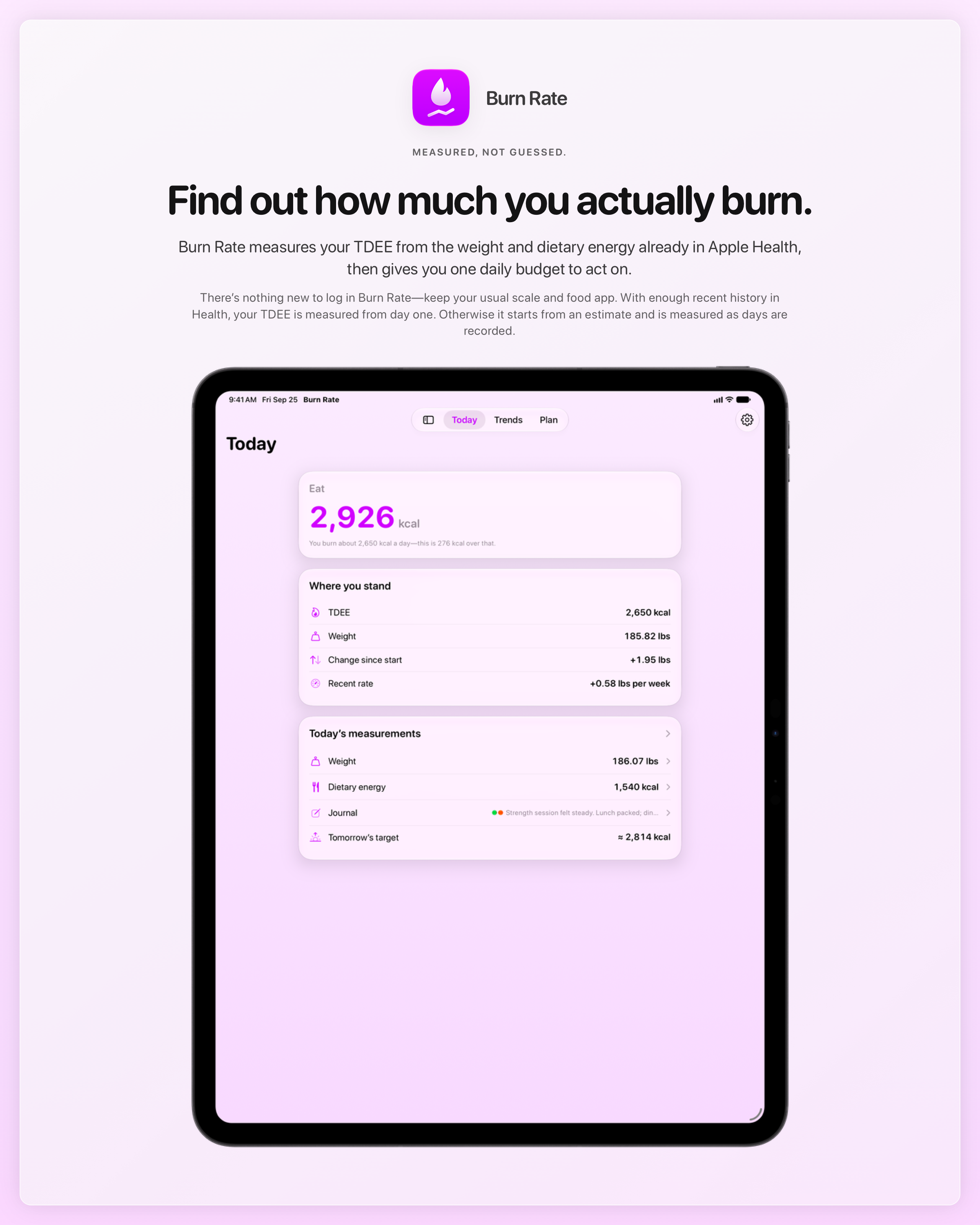 The Burn Rate share image, showing the app on iPad Pro 13-inch with its icon, name and headline for the gain story, in the Purple tint, light appearance.