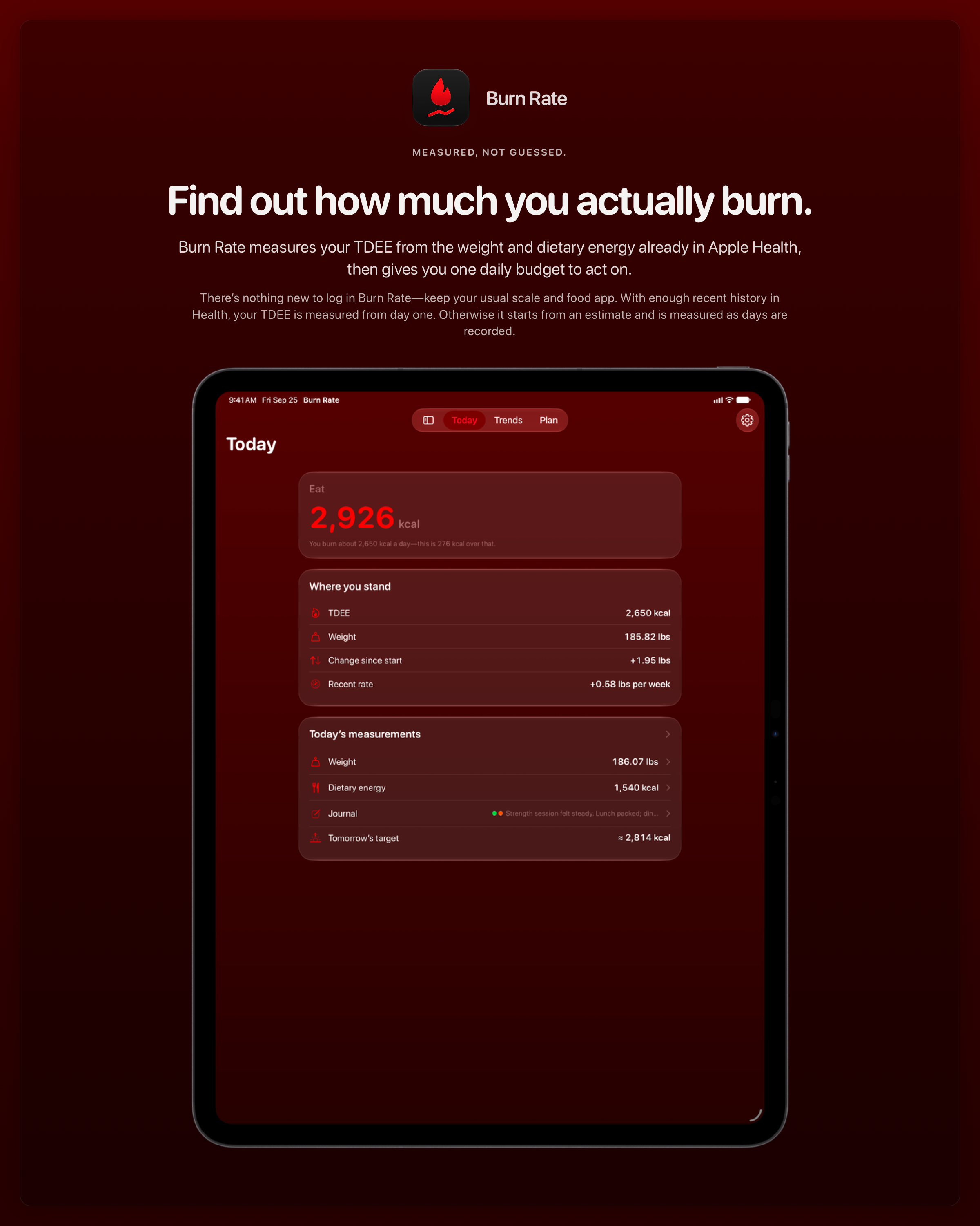 The Burn Rate share image, showing the app on iPad Pro 13-inch with its icon, name and headline for the gain story, in the Red tint, dark appearance.
