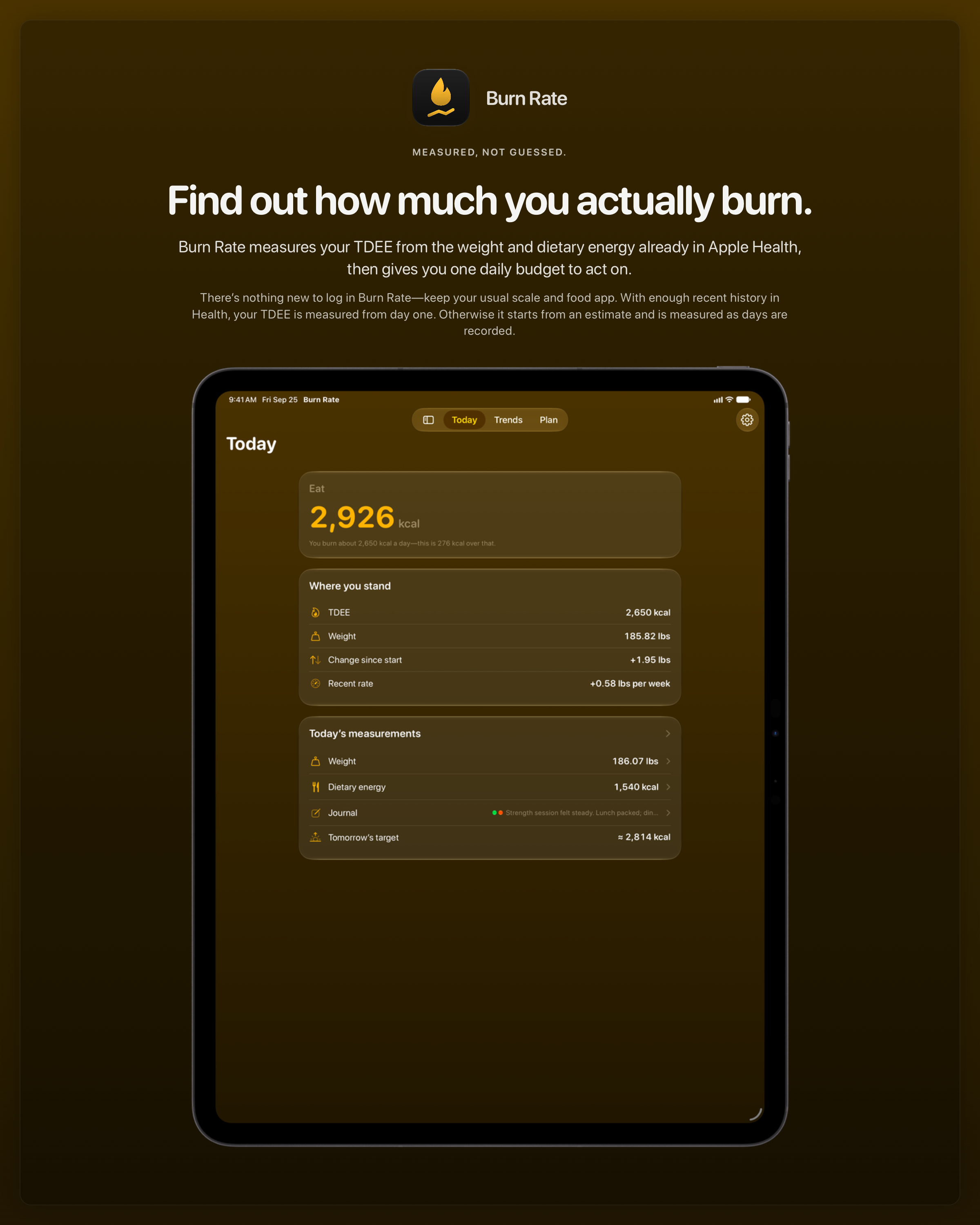The Burn Rate share image, showing the app on iPad Pro 13-inch with its icon, name and headline for the gain story, in the Yellow tint, dark appearance.