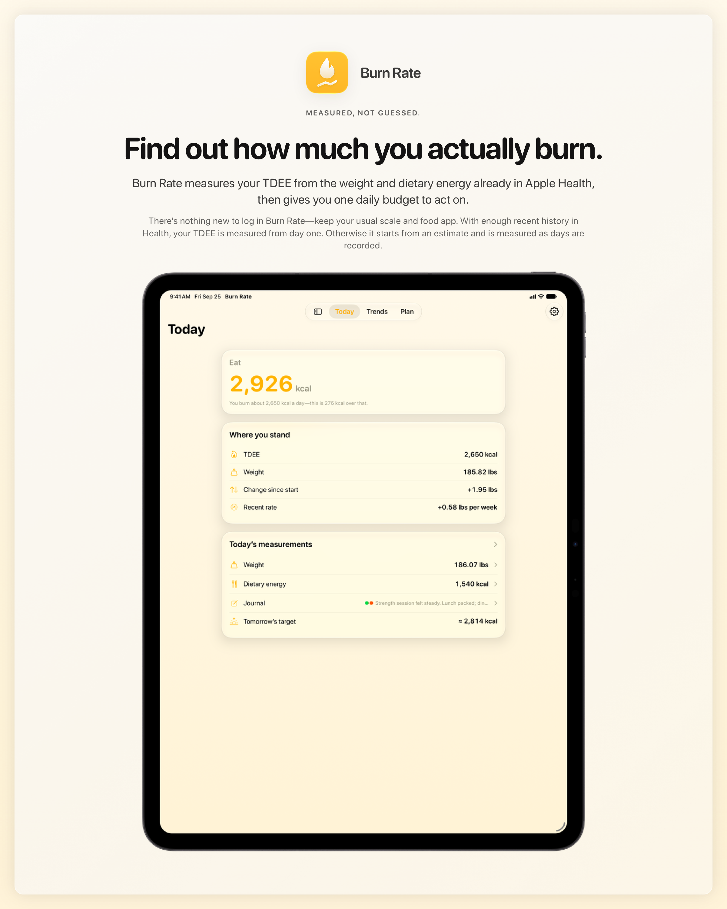 The Burn Rate share image, showing the app on iPad Pro 13-inch with its icon, name and headline for the gain story, in the Yellow tint, light appearance.