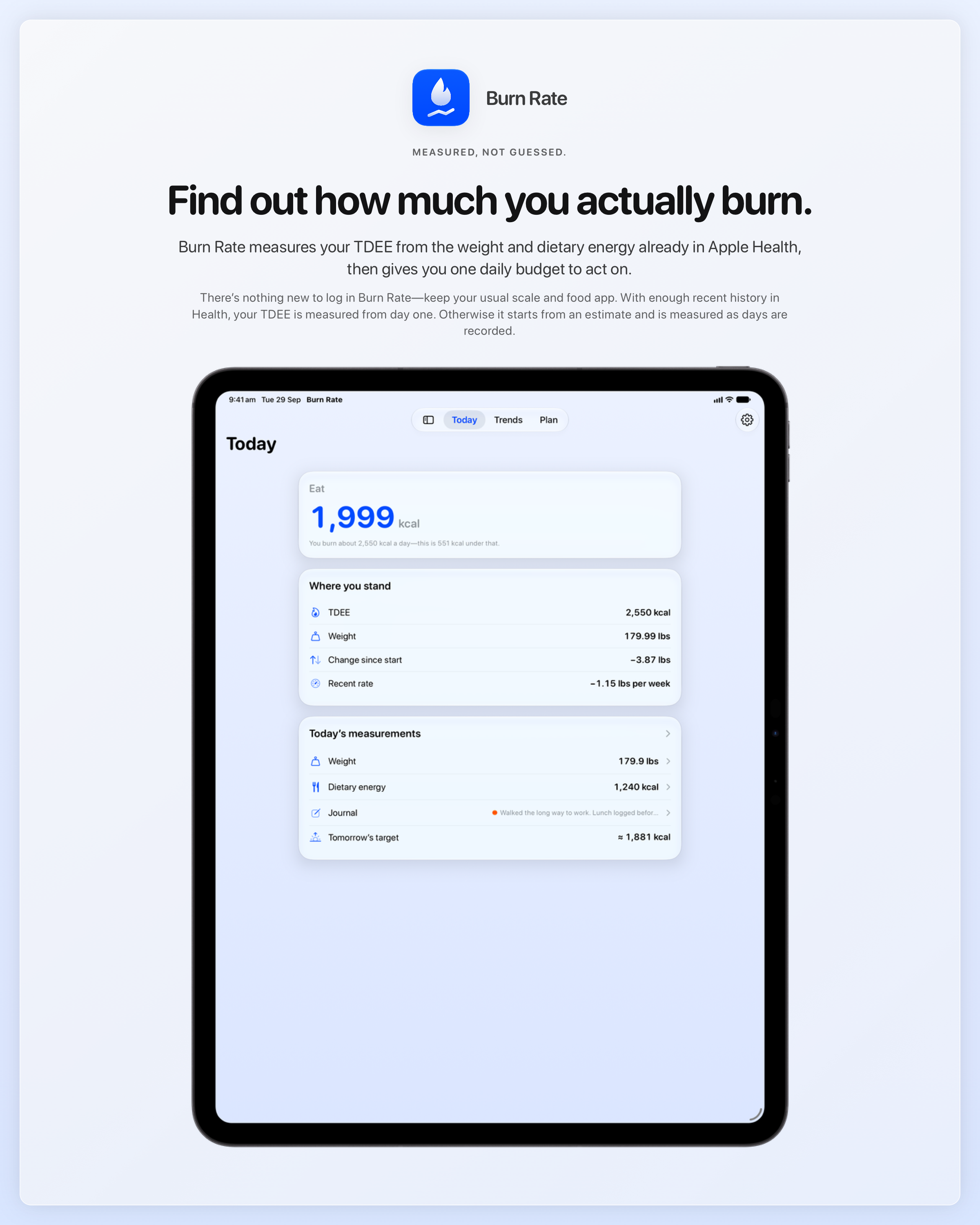 The Burn Rate share image, showing the app on iPad Pro 13-inch with its icon, name and headline for the loss story, in the Blue tint, light appearance.
