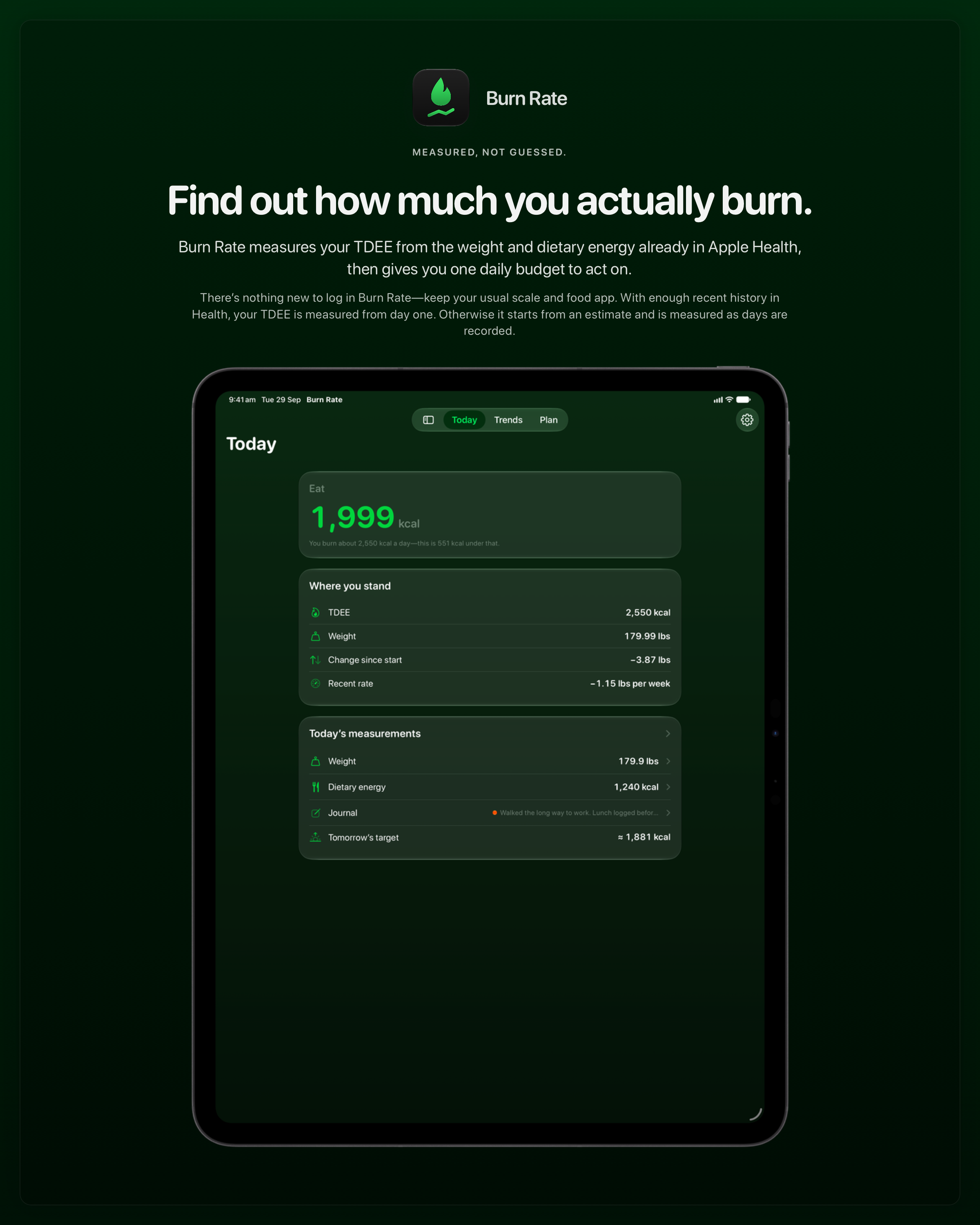 The Burn Rate share image, showing the app on iPad Pro 13-inch with its icon, name and headline for the loss story, in the Green tint, dark appearance.