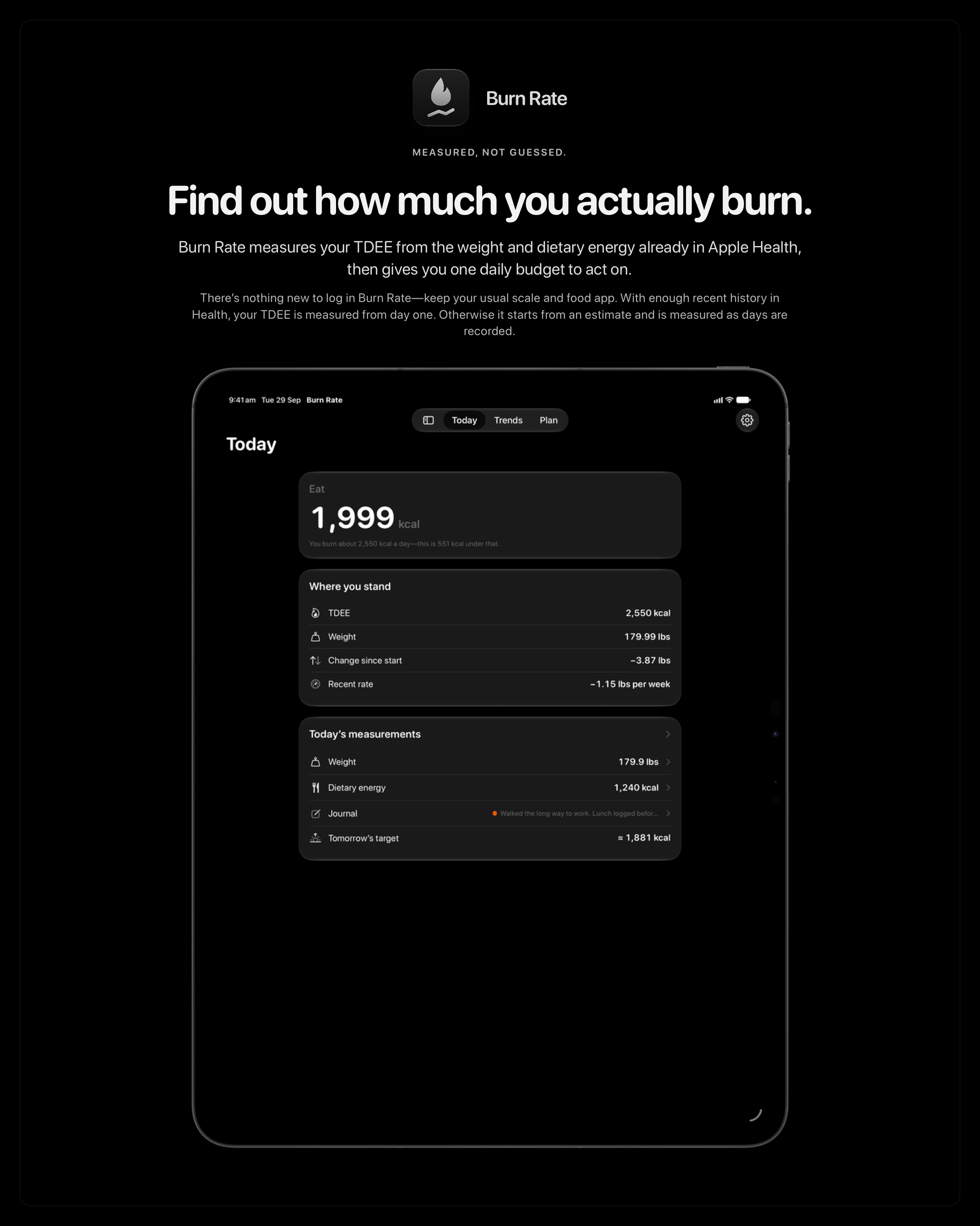 The Burn Rate share image, showing the app on iPad Pro 13-inch with its icon, name and headline for the loss story, in the Grey tint, dark appearance.
