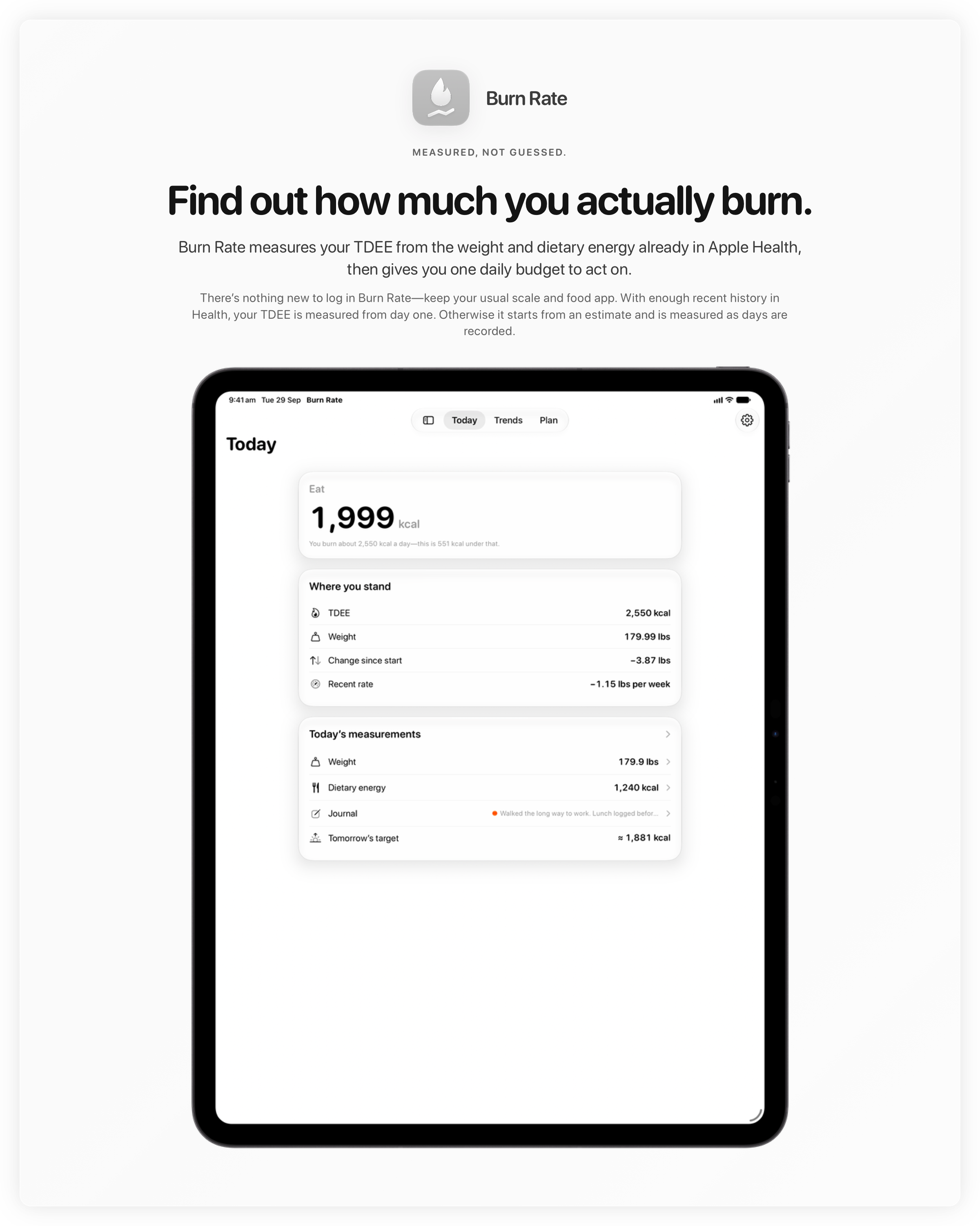 The Burn Rate share image, showing the app on iPad Pro 13-inch with its icon, name and headline for the loss story, in the Grey tint, light appearance.