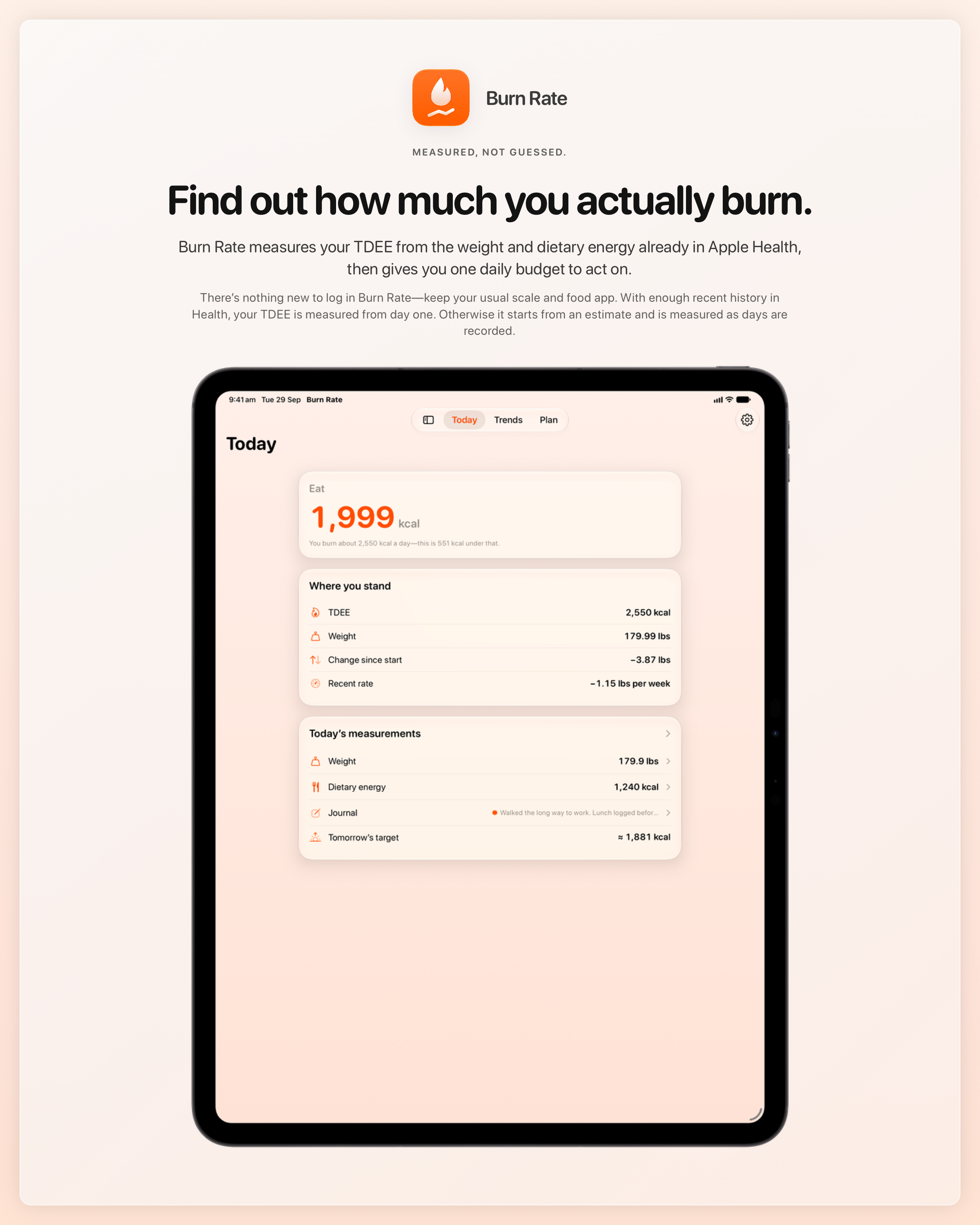 The Burn Rate share image, showing the app on iPad Pro 13-inch with its icon, name and headline for the loss story, in the Orange tint, light appearance.