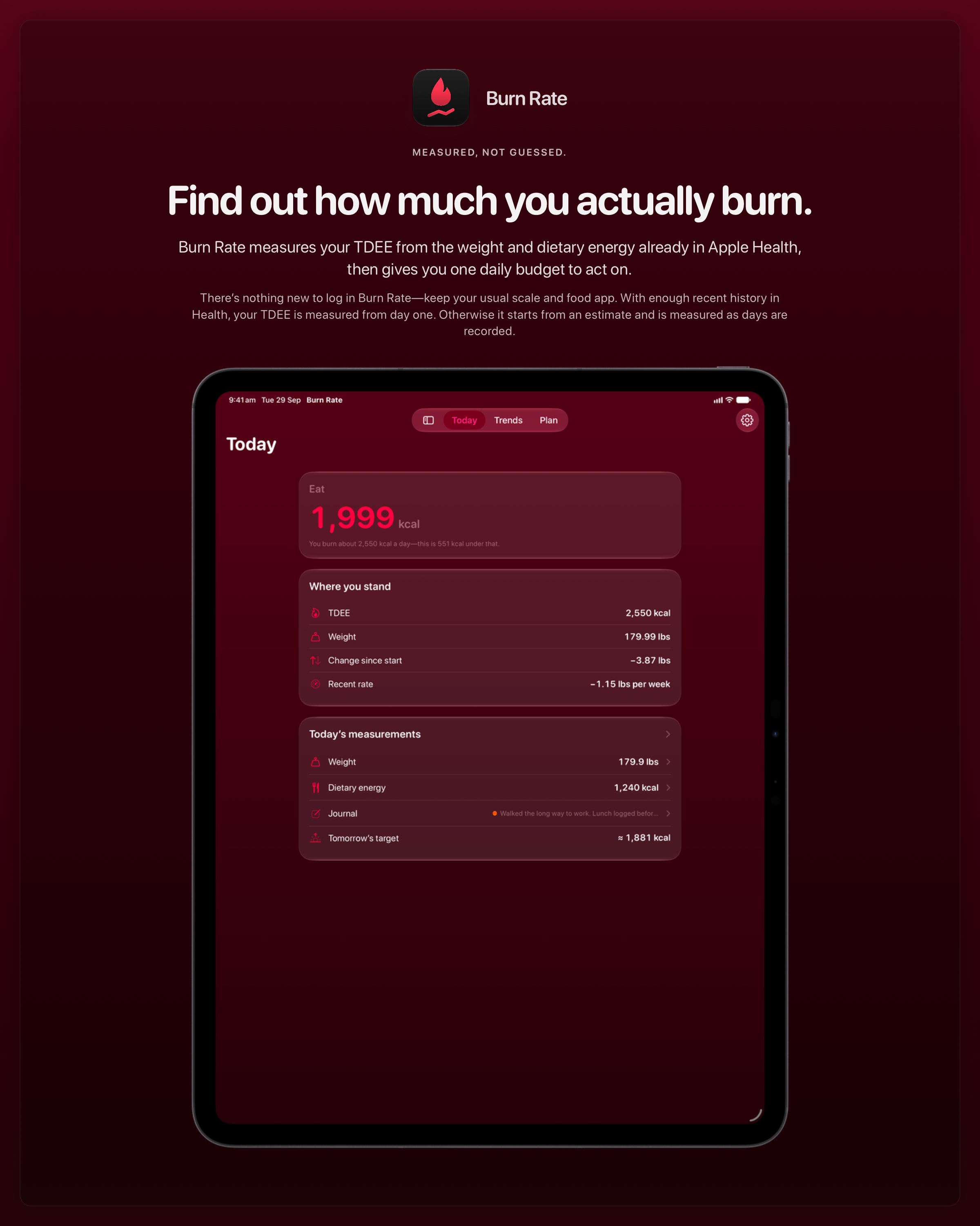 The Burn Rate share image, showing the app on iPad Pro 13-inch with its icon, name and headline for the loss story, in the Pink tint, dark appearance.