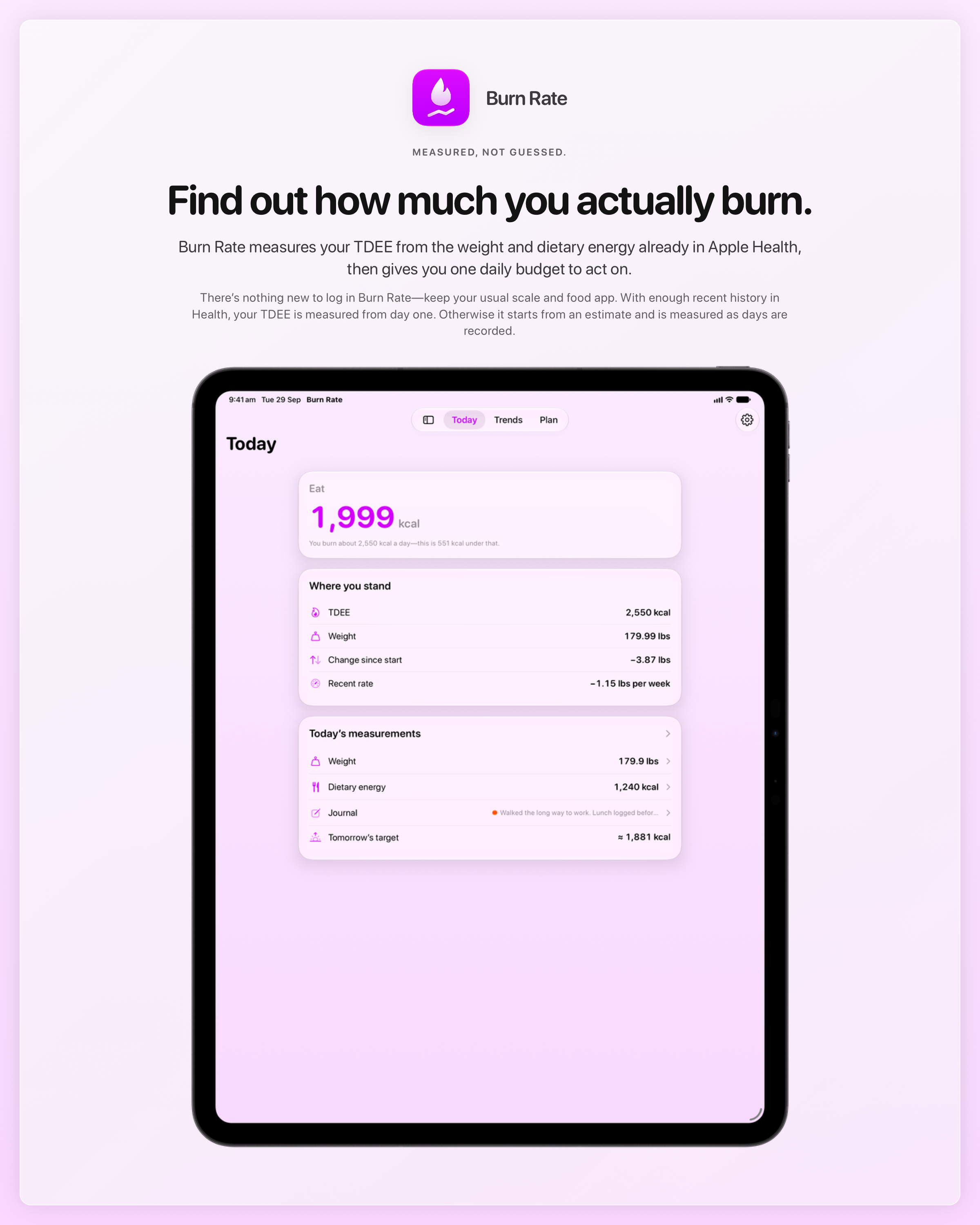 The Burn Rate share image, showing the app on iPad Pro 13-inch with its icon, name and headline for the loss story, in the Purple tint, light appearance.