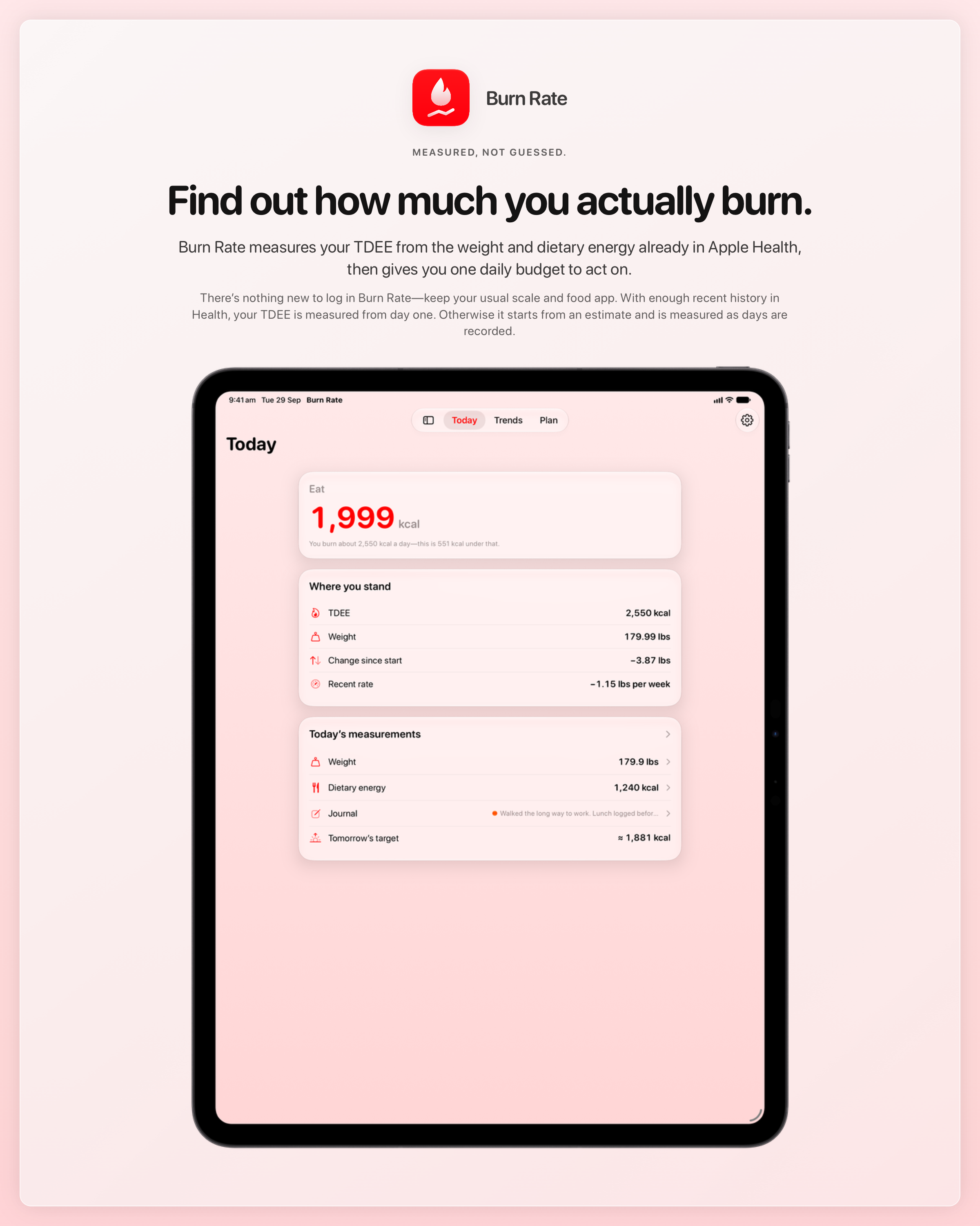The Burn Rate share image, showing the app on iPad Pro 13-inch with its icon, name and headline for the loss story, in the Red tint, light appearance.