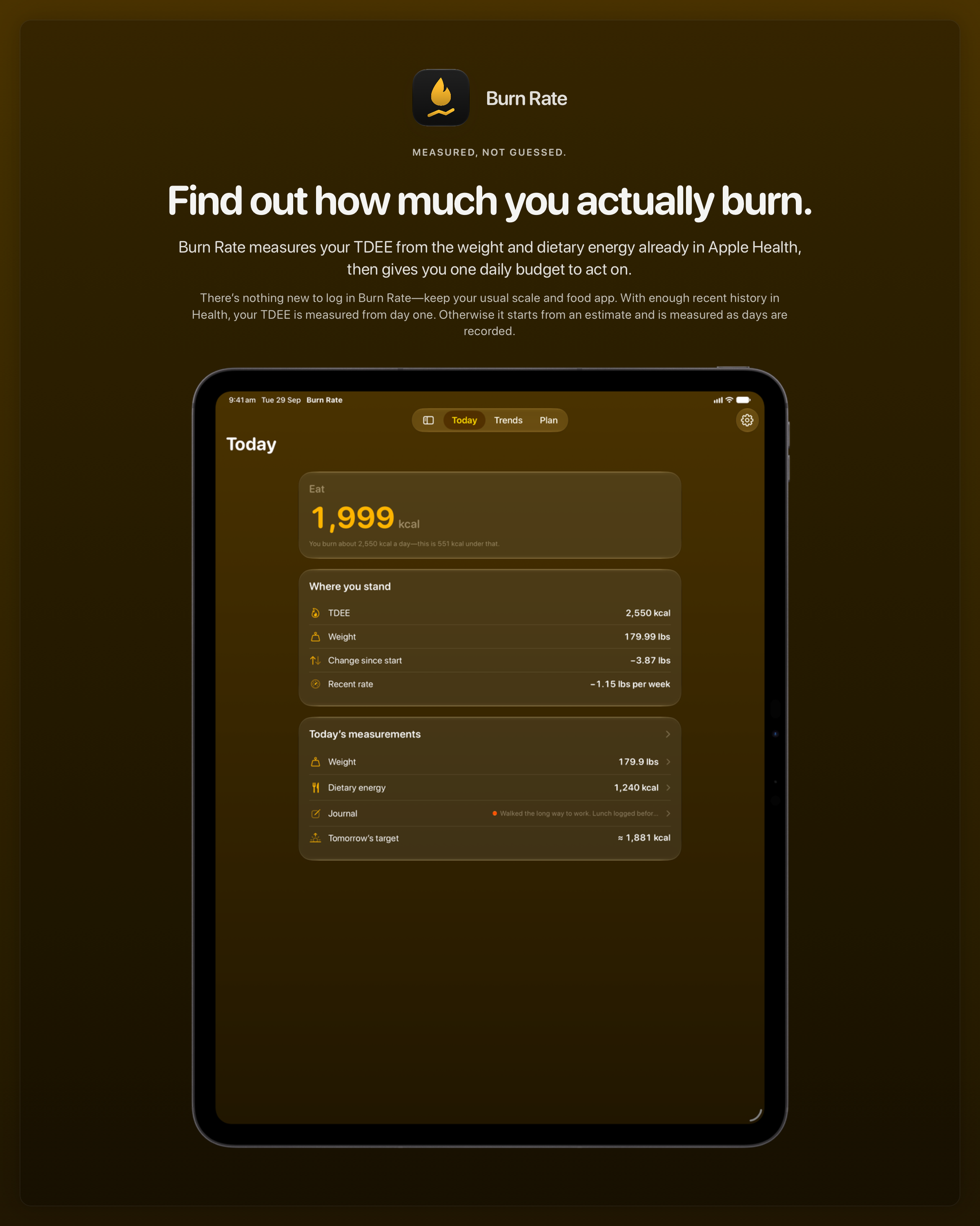 The Burn Rate share image, showing the app on iPad Pro 13-inch with its icon, name and headline for the loss story, in the Yellow tint, dark appearance.