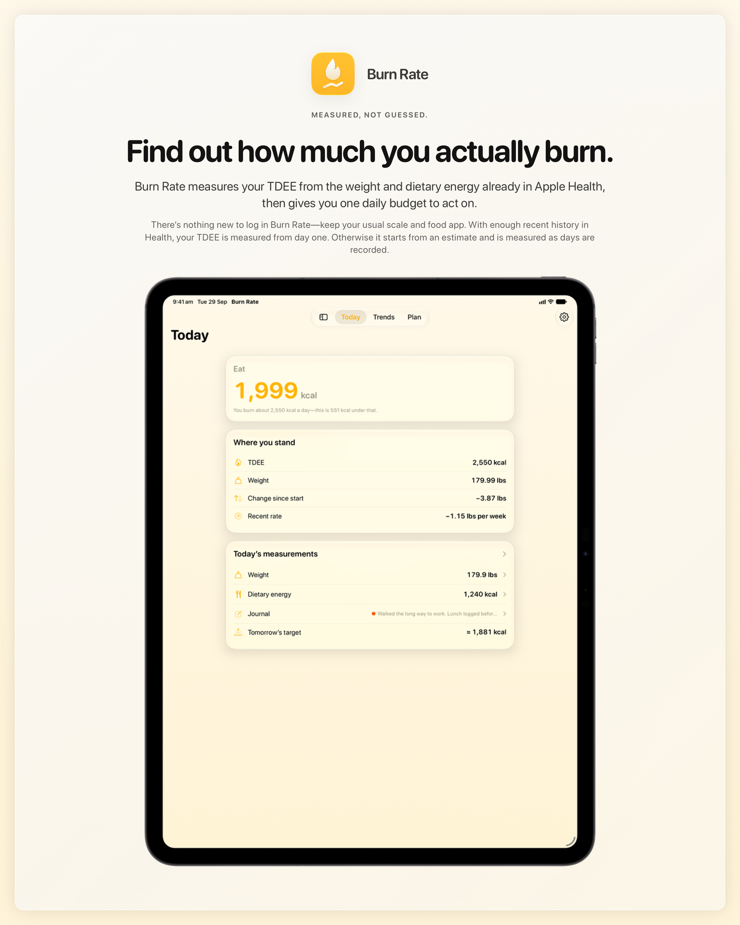 The Burn Rate share image, showing the app on iPad Pro 13-inch with its icon, name and headline for the loss story, in the Yellow tint, light appearance.